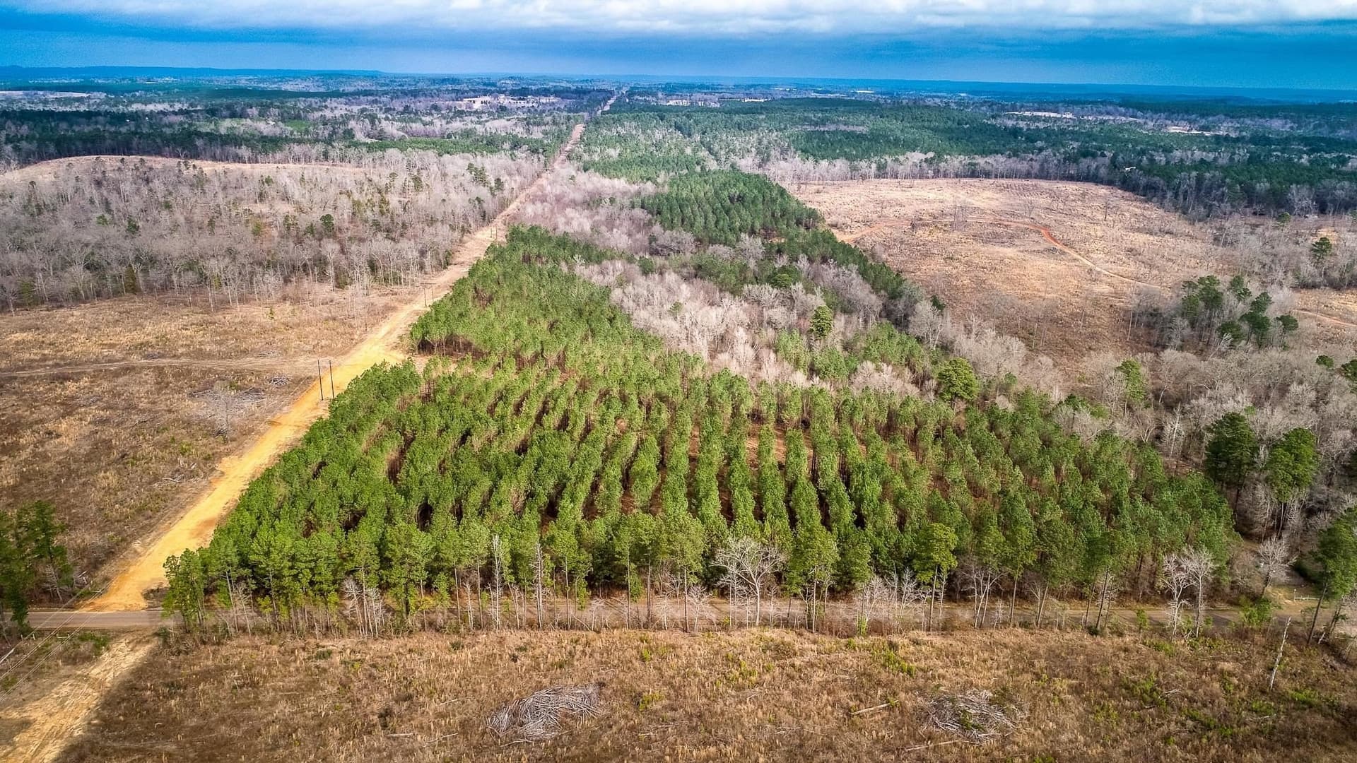 2 acres in Upshur County - photo 13