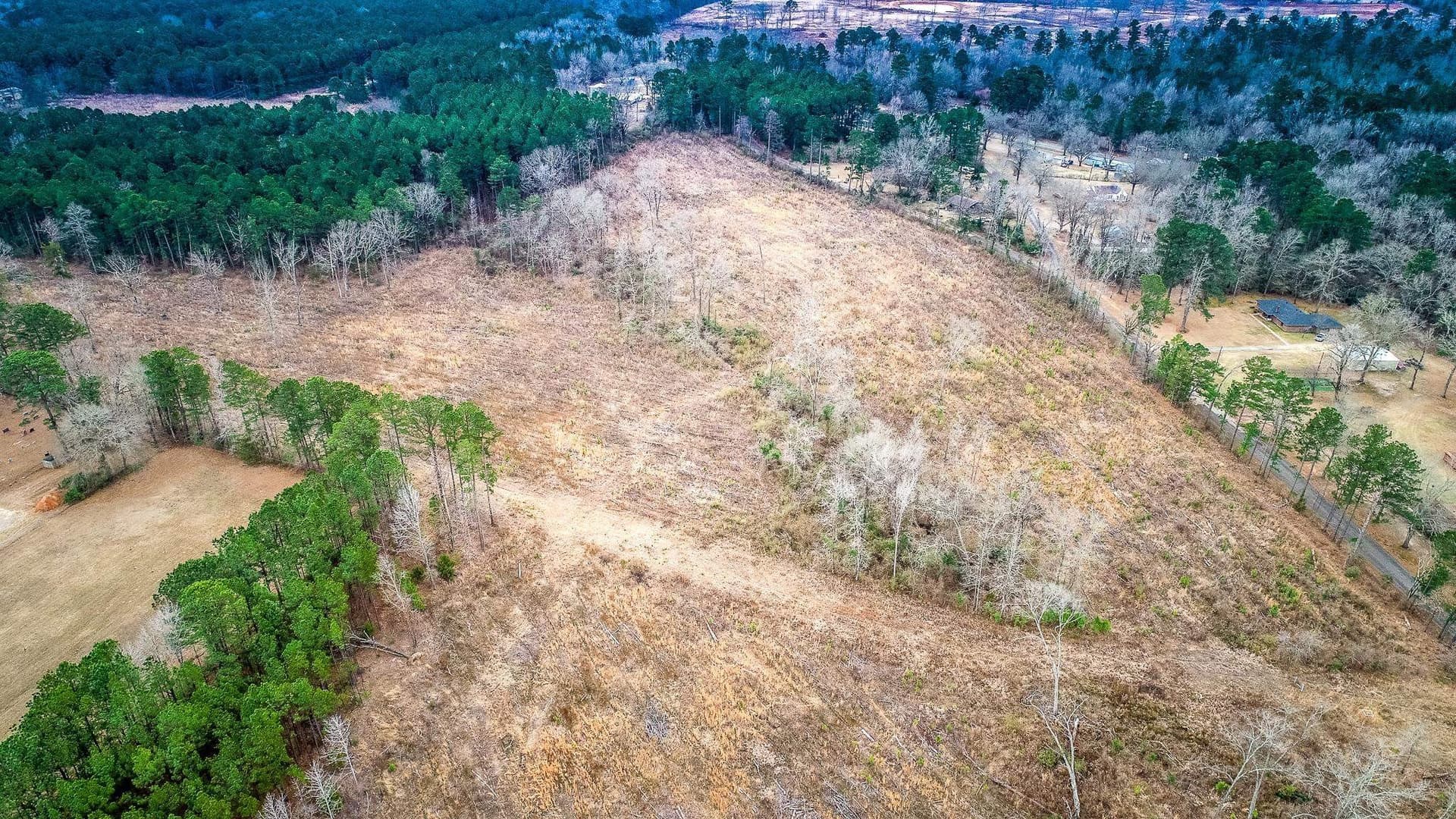2 acres in Upshur County gallery image 4