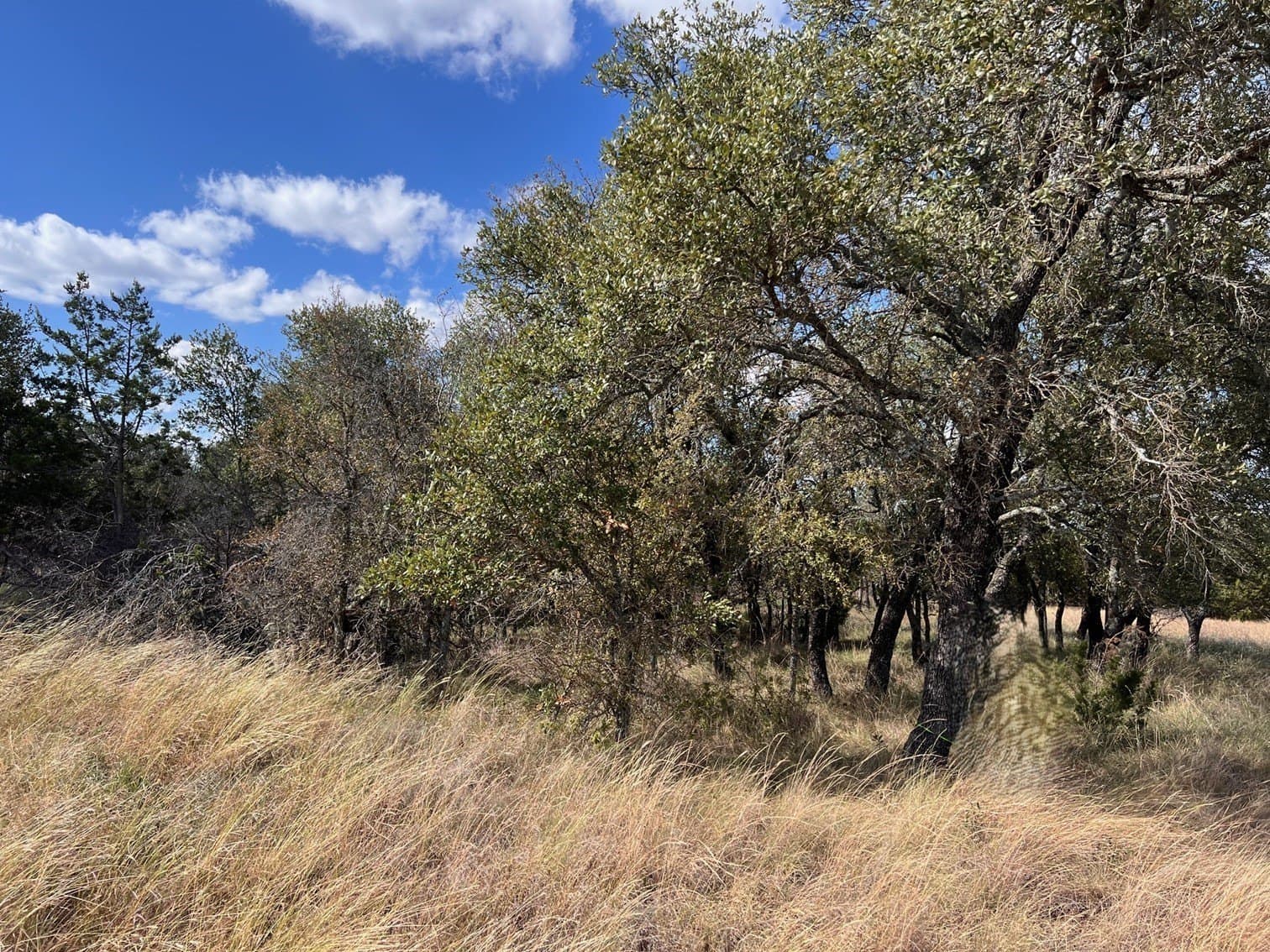 0.75 acres in Brown County - photo 6