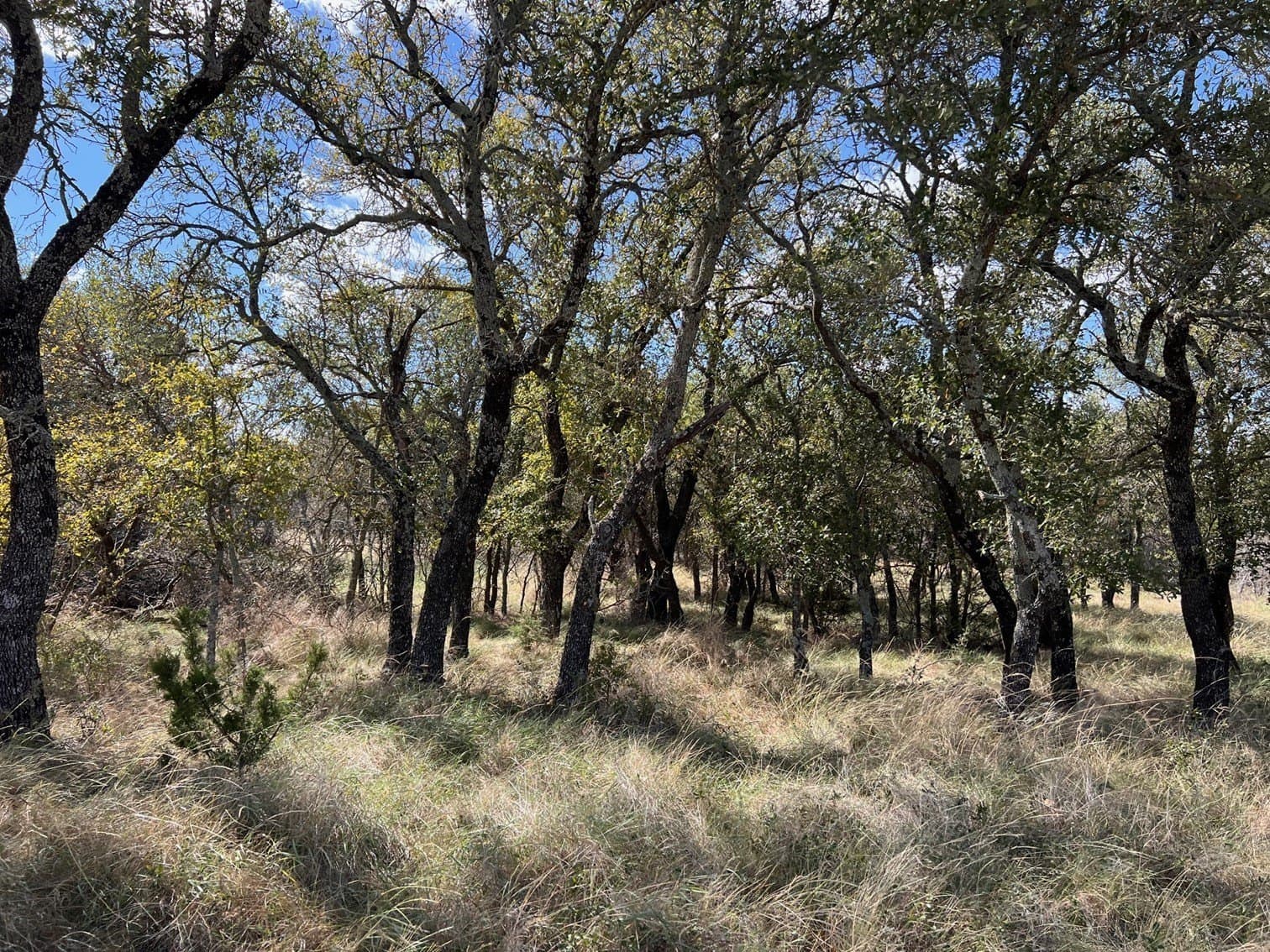 0.75 acres in Brown County gallery image 2