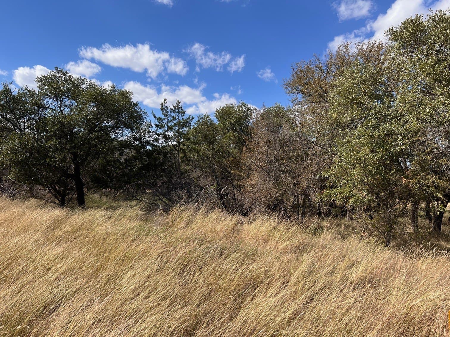 0.75 acres in Brown County gallery image 4