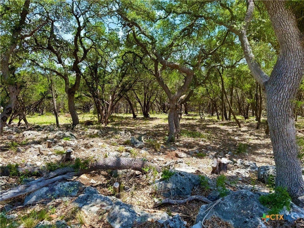 2.19 acres in Comal County gallery image 4
