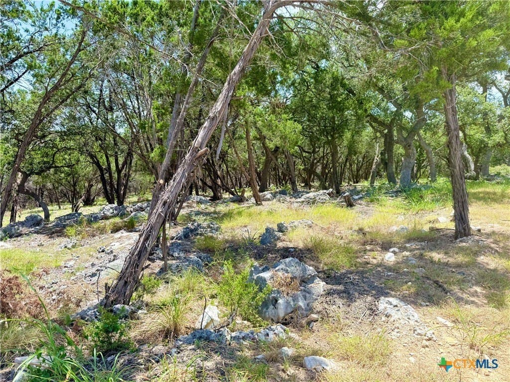 2.19 acres in Comal County - photo 6