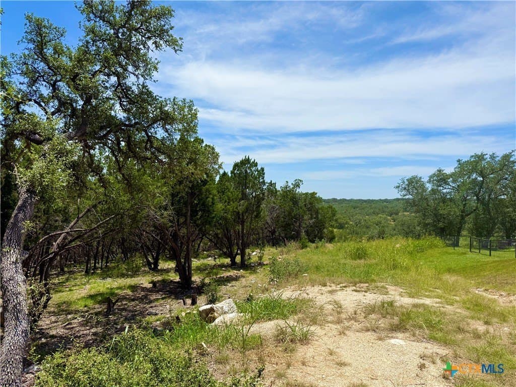 2.19 acres in Comal County gallery image 3