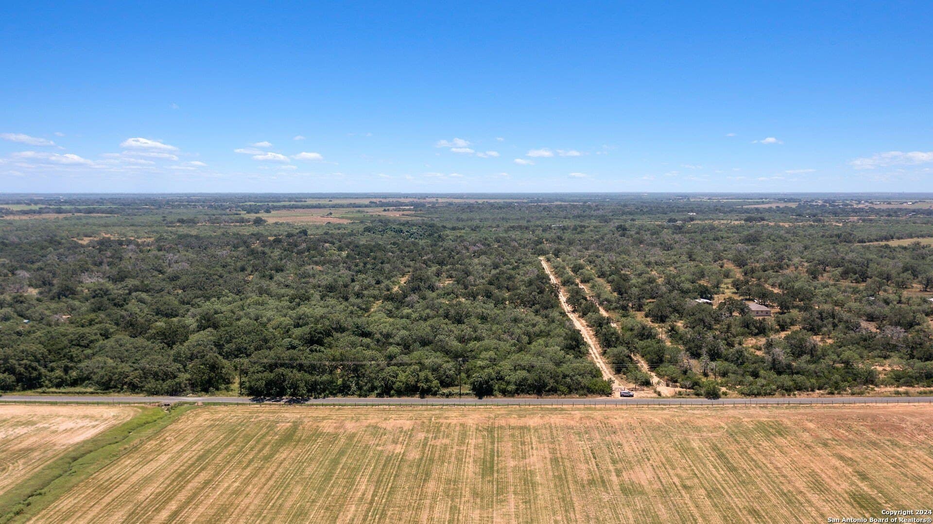 14.02 acres in Atascosa County gallery image 3