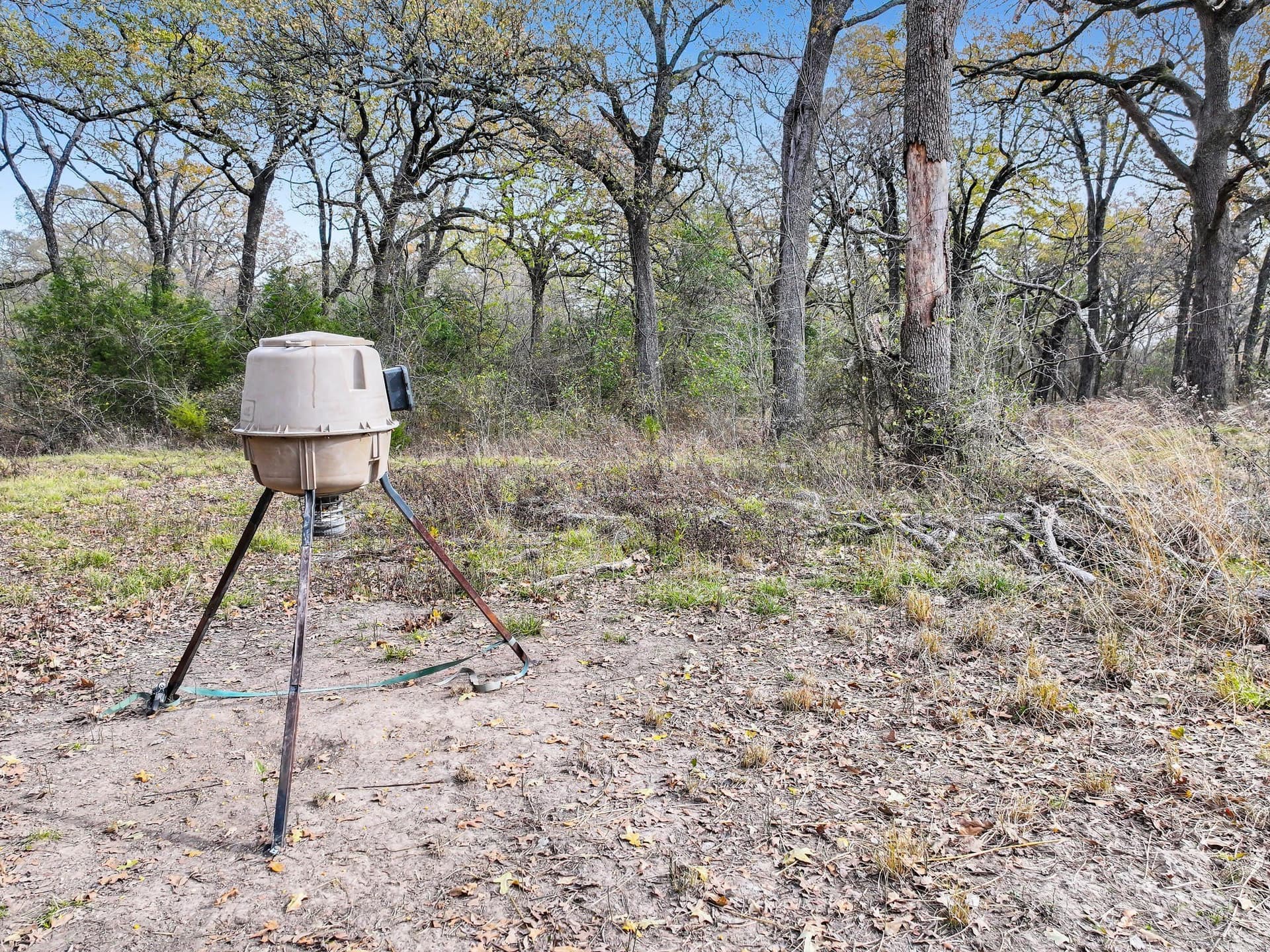 71.65 acres in Delta County - photo 9