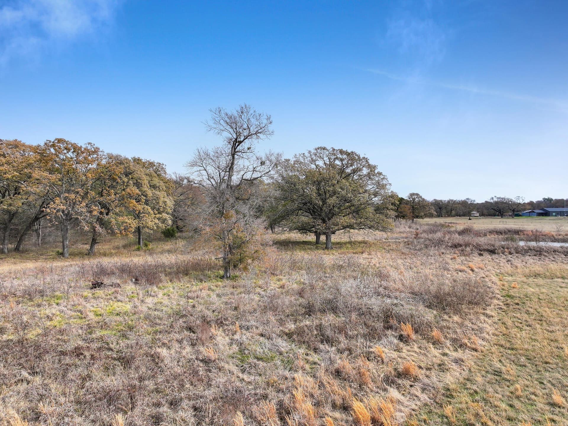 71.65 acres in Delta County - photo 6