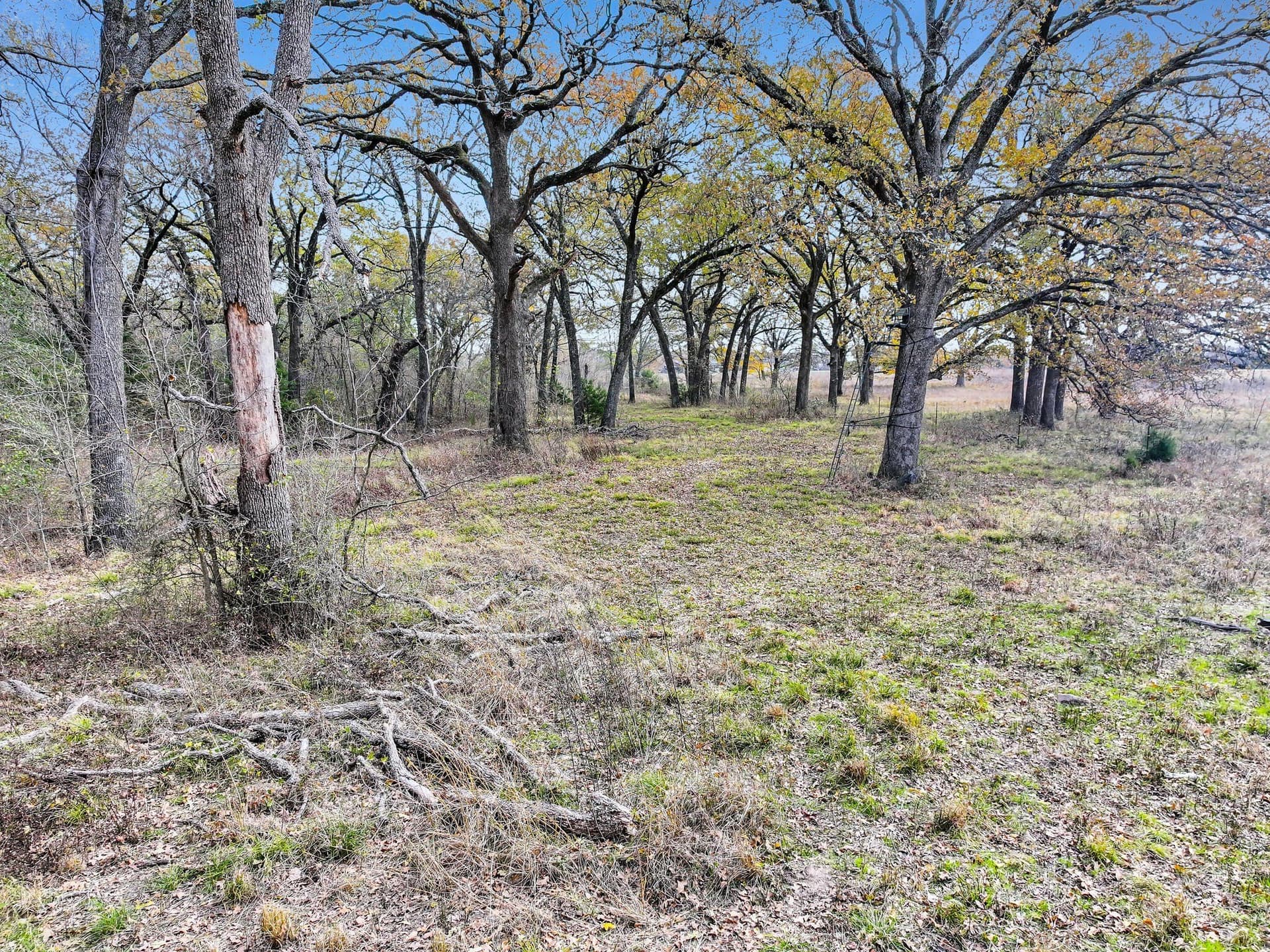 71.65 acres in Delta County - photo 10