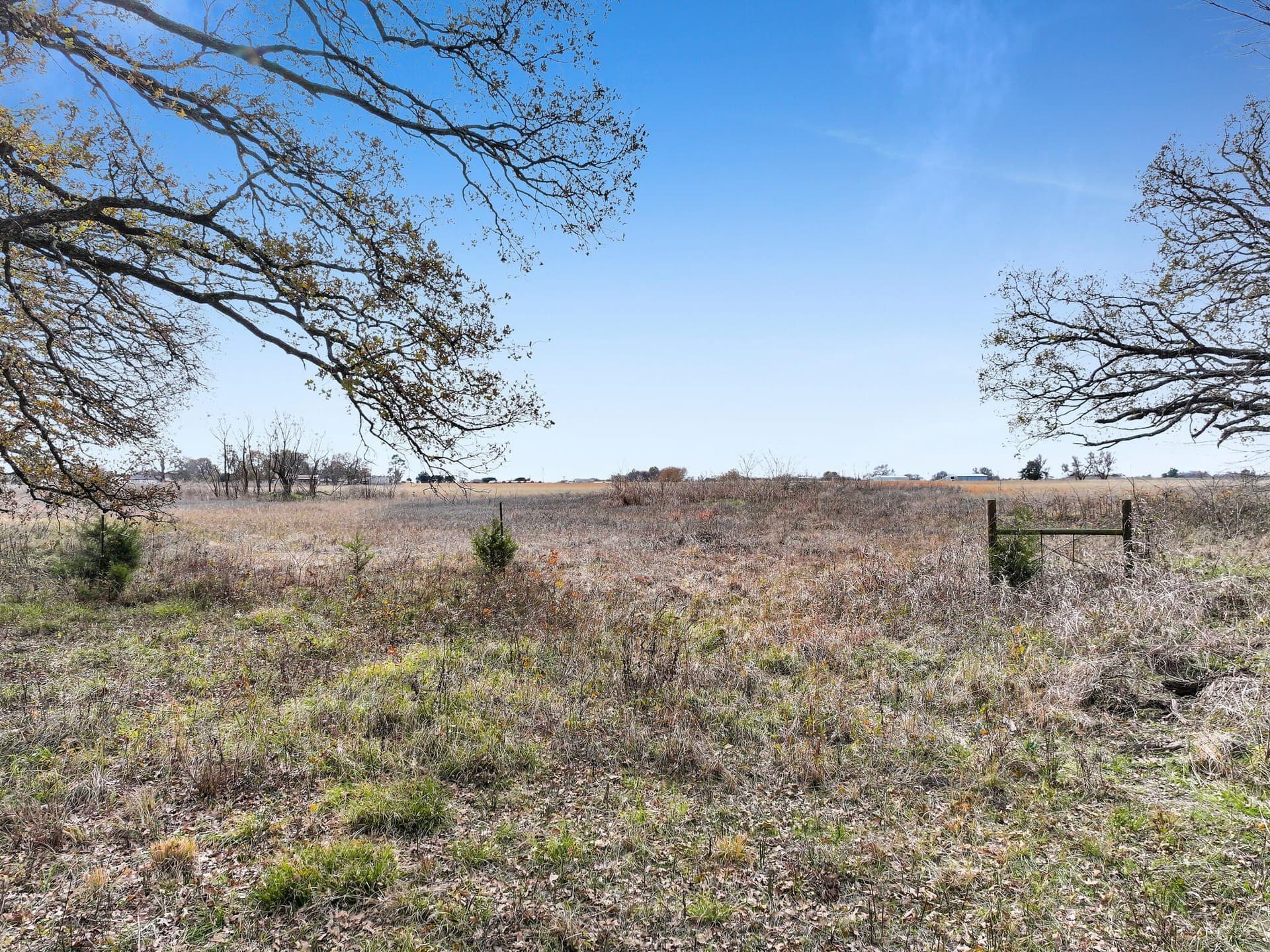 71.65 acres in Delta County - photo 7
