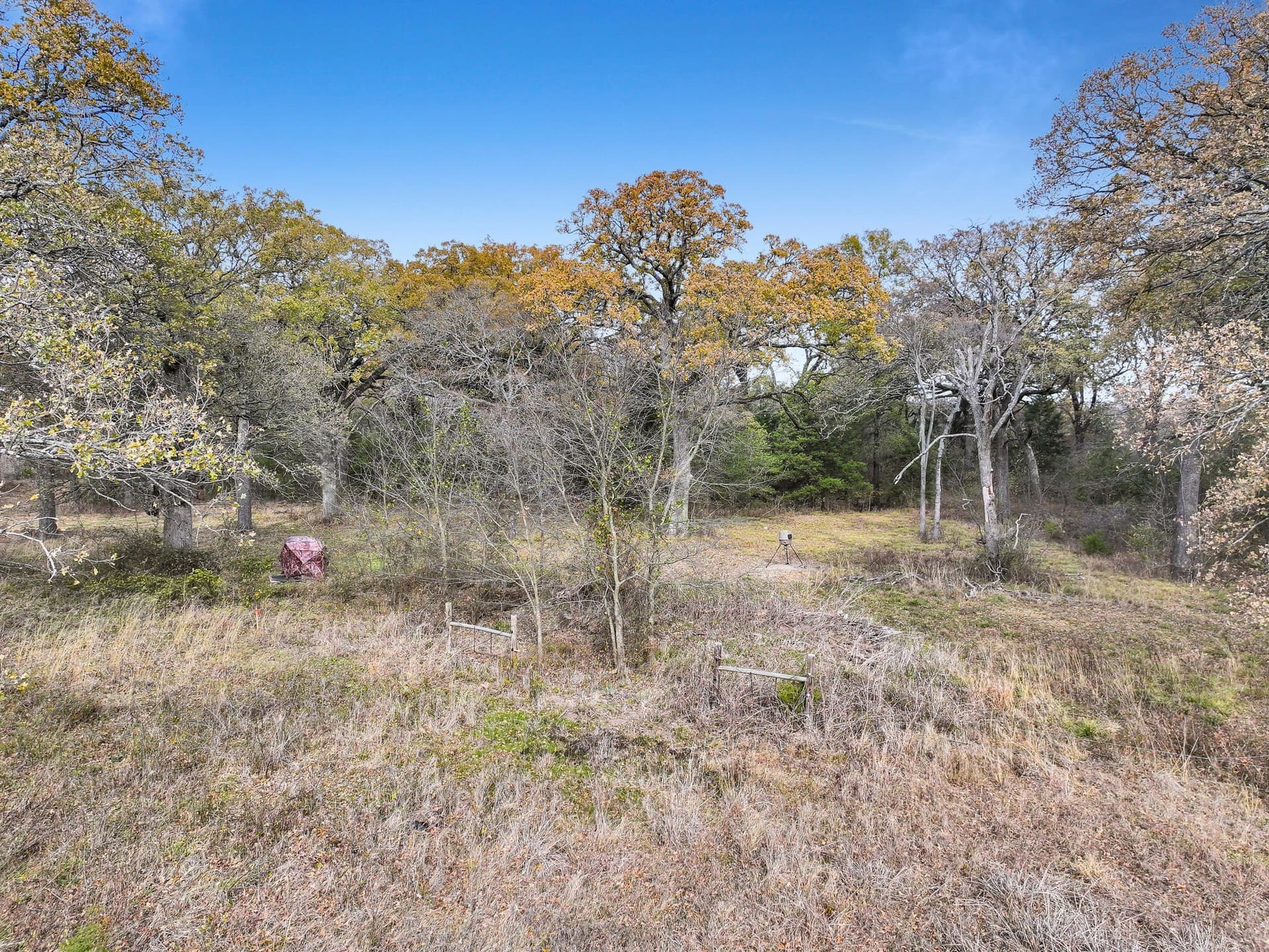 71.65 acres in Delta County - photo 12