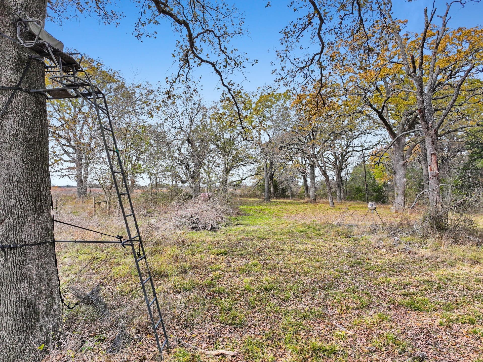 71.65 acres in Delta County - photo 8