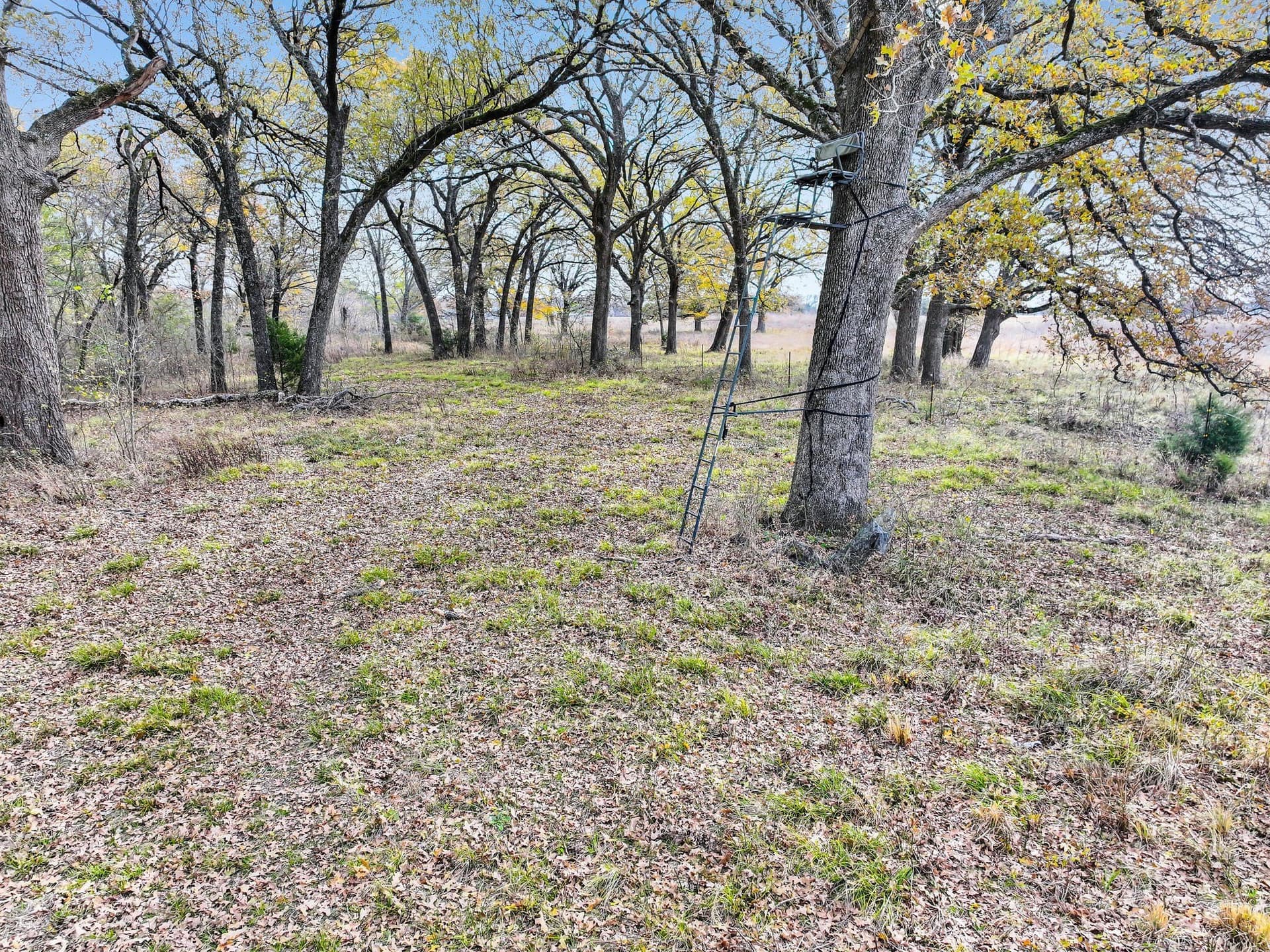 71.65 acres in Delta County - photo 11