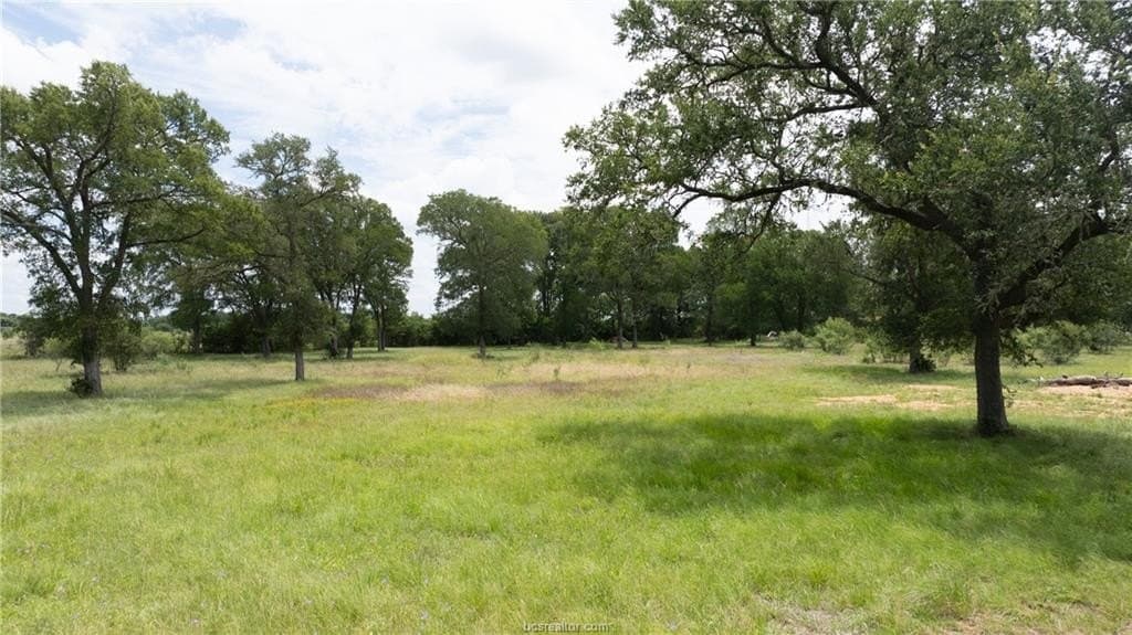 13.94 acres in Brazos County - photo 41