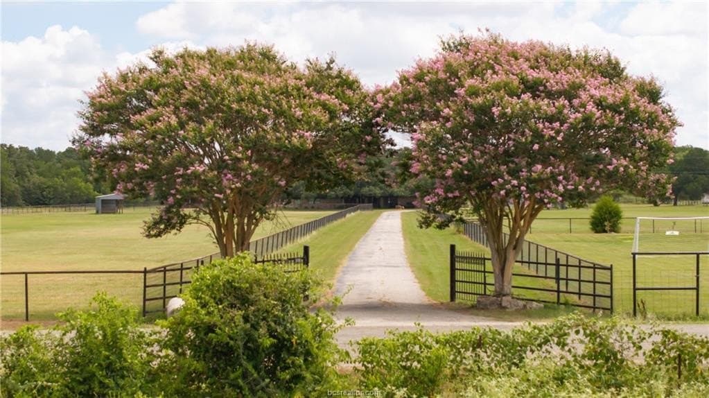13.94 acres in Brazos County - photo 20