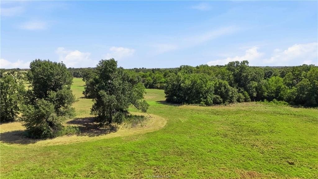 15.18 acres in Robertson County - photo 2