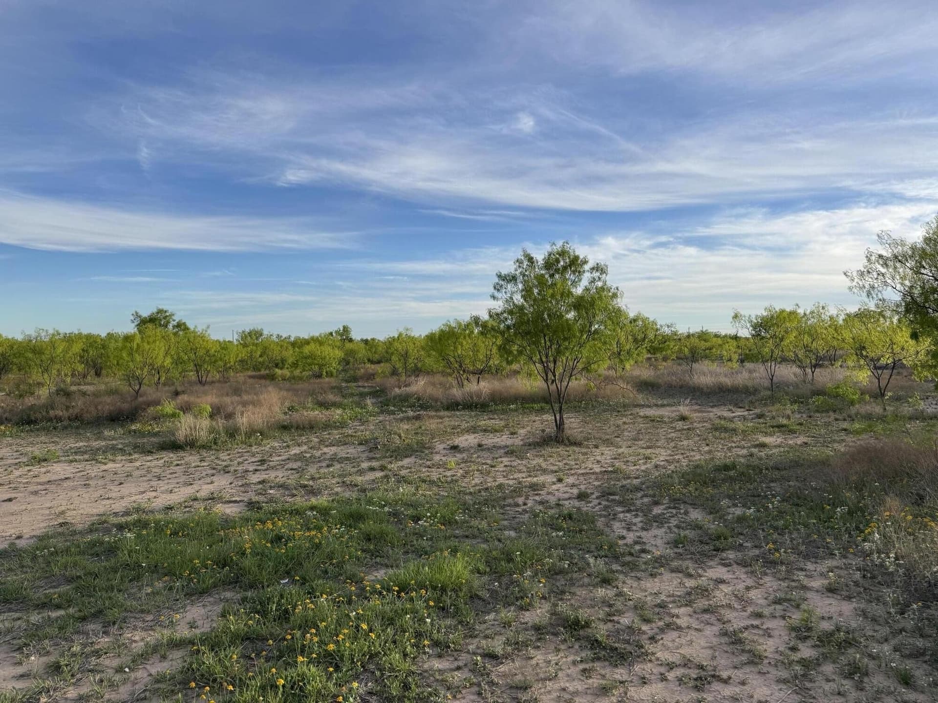 12 acres in Tom Green County featured view