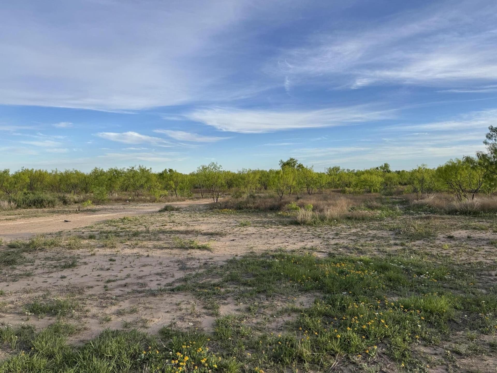 12 acres in Tom Green County gallery image 4