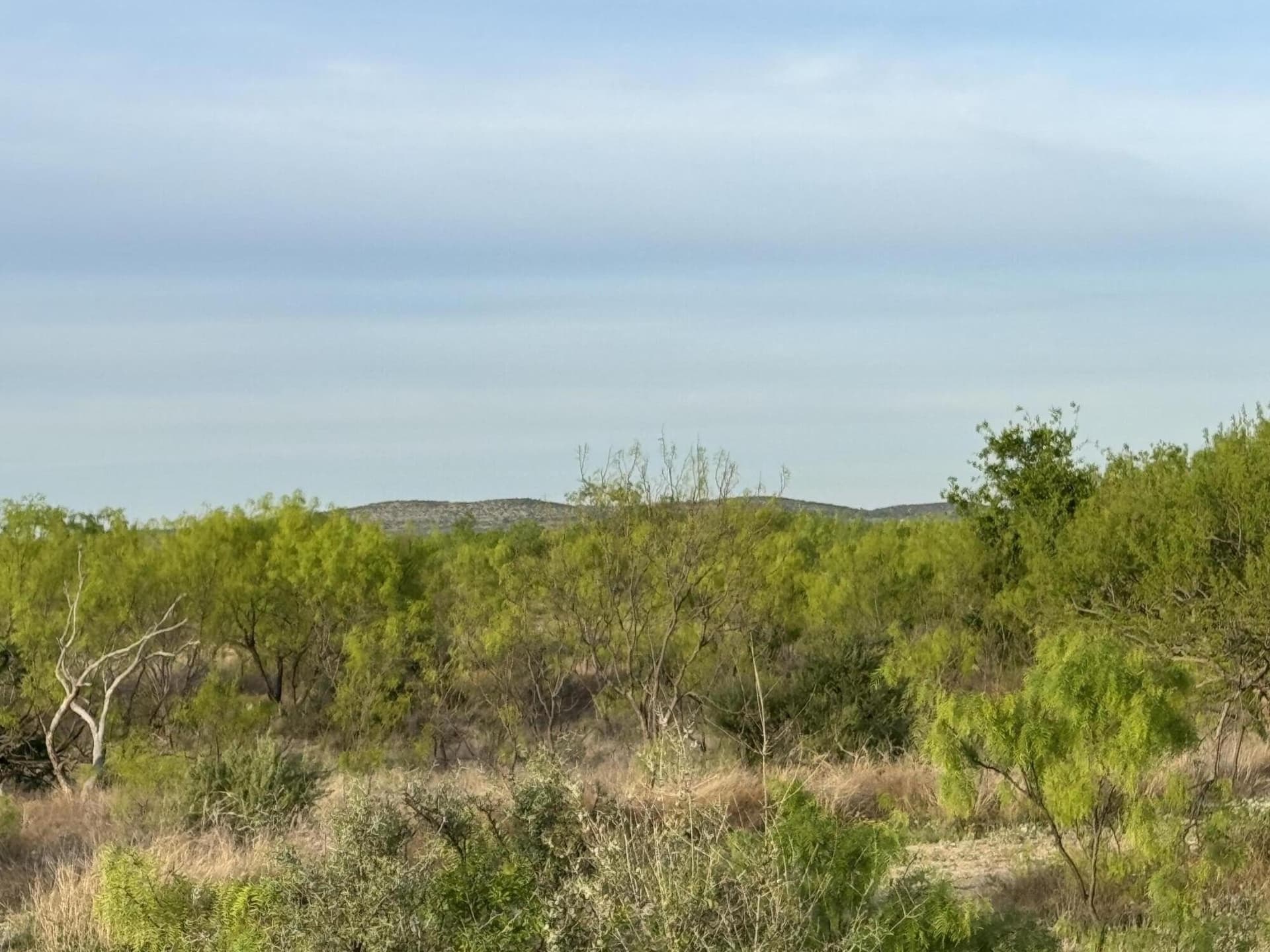 12 acres in Tom Green County gallery image 2