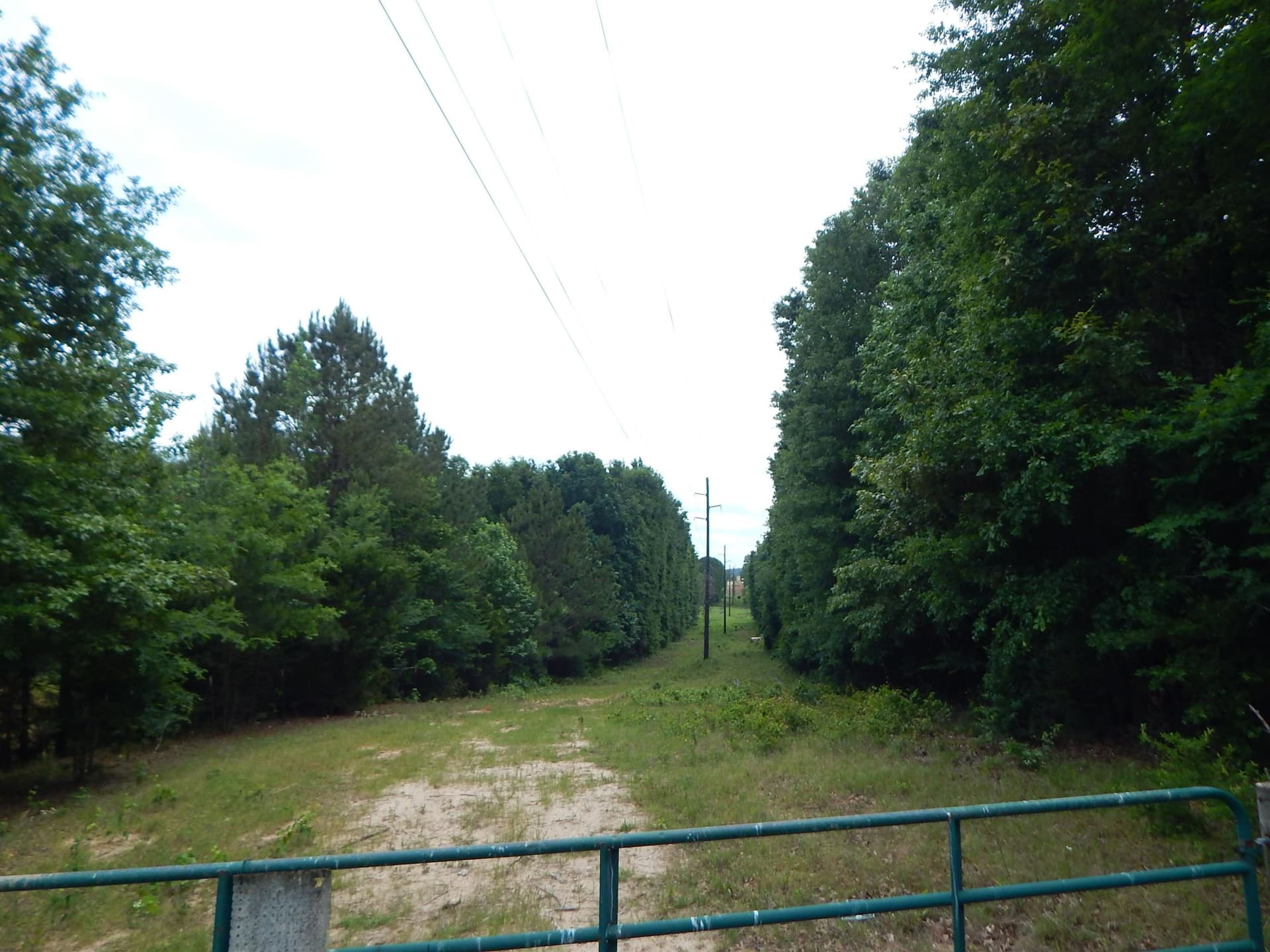 15 acres in Upshur County - photo 12