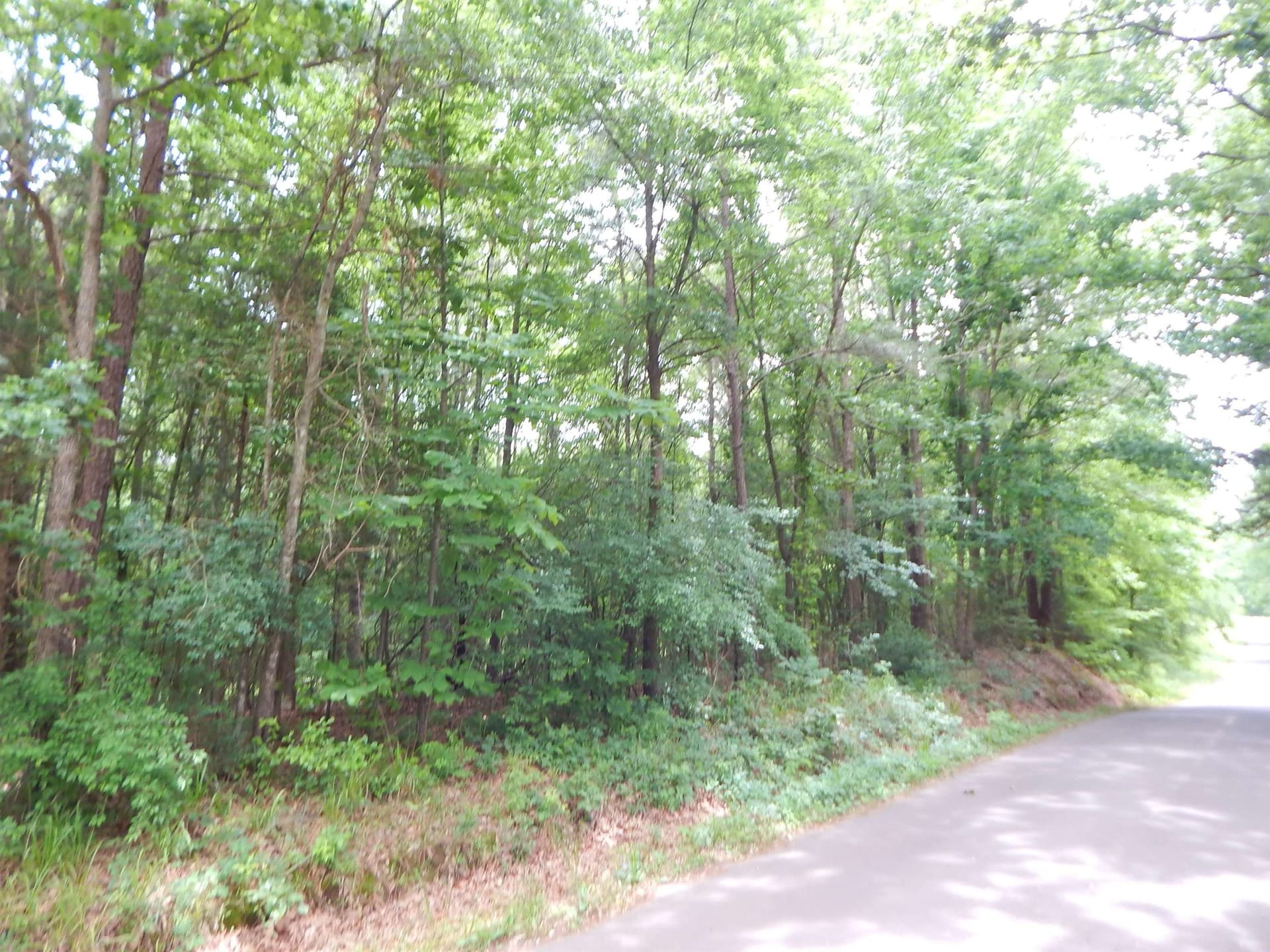 15 acres in Upshur County - photo 6