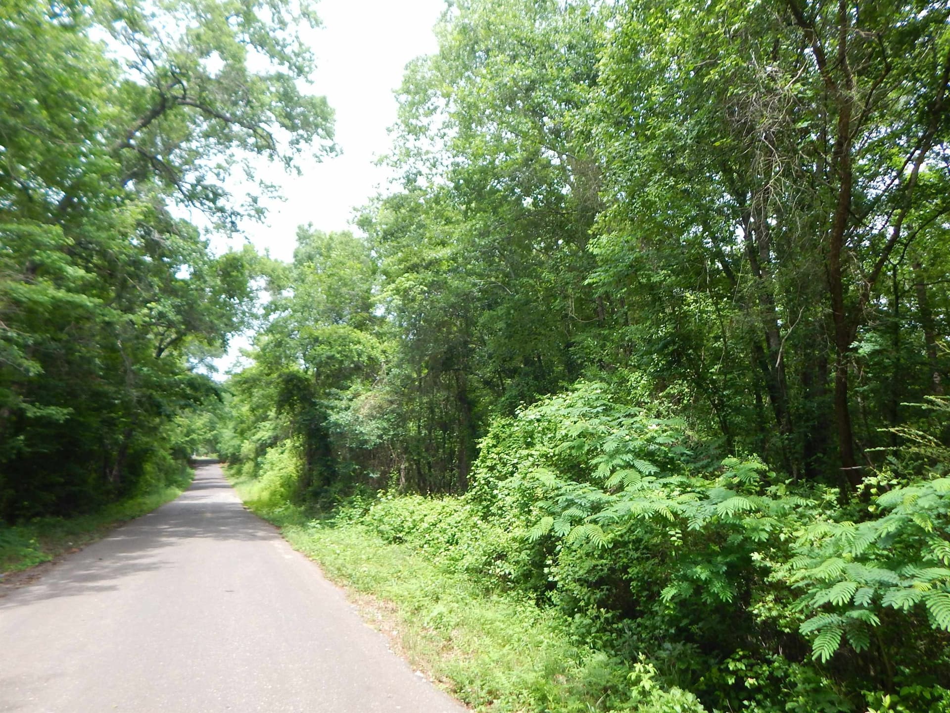 15 acres in Upshur County - photo 10