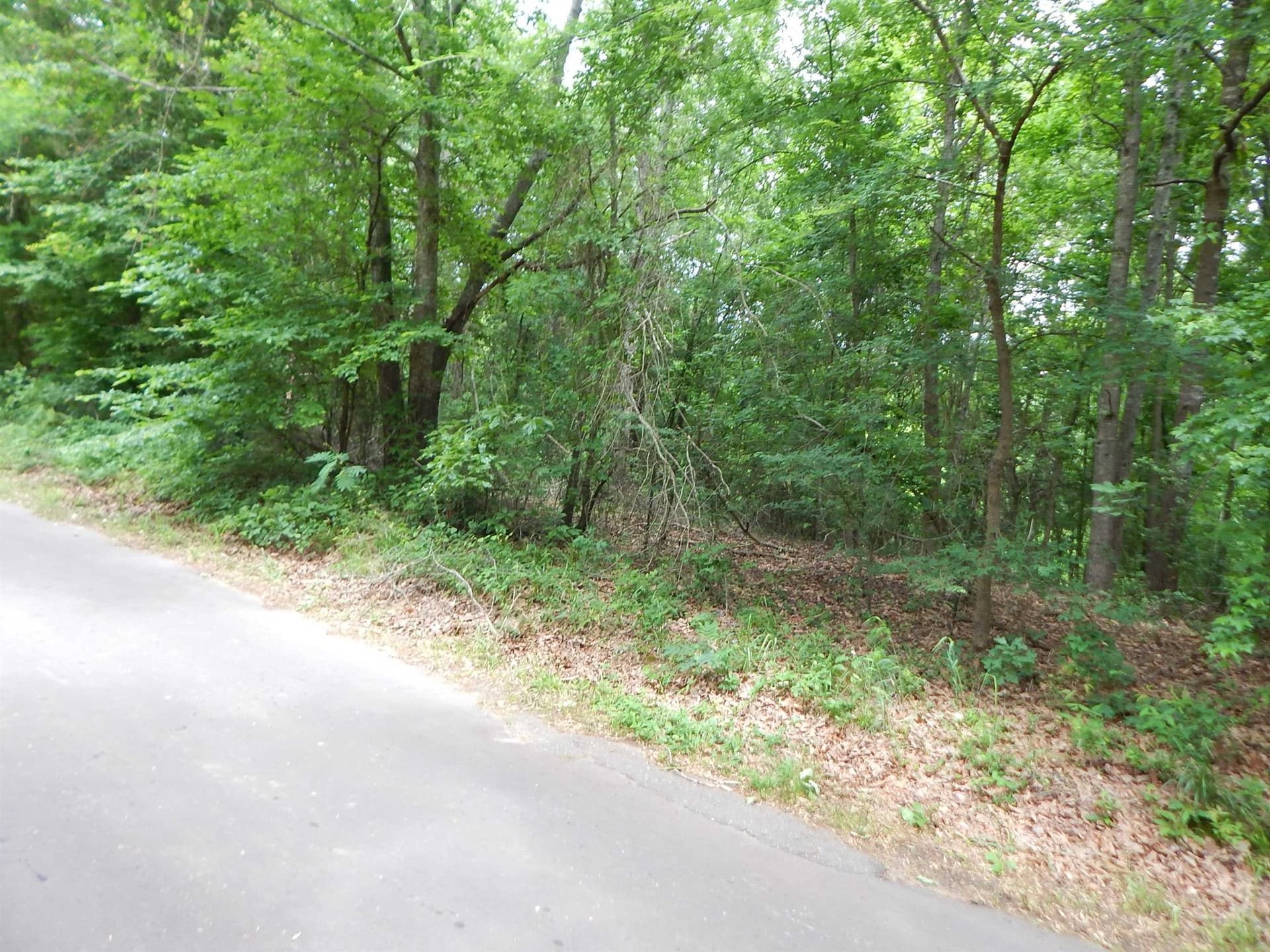 15 acres in Upshur County - photo 7