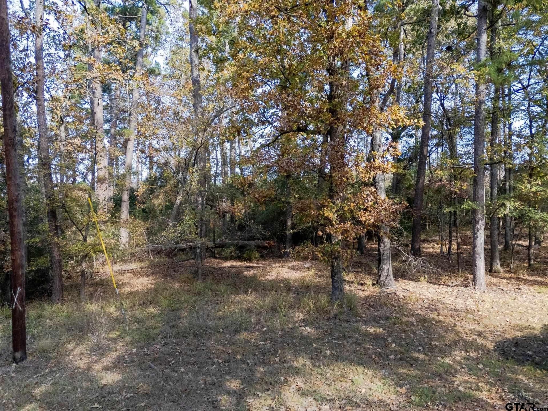 0.47 acres in Wood County featured view