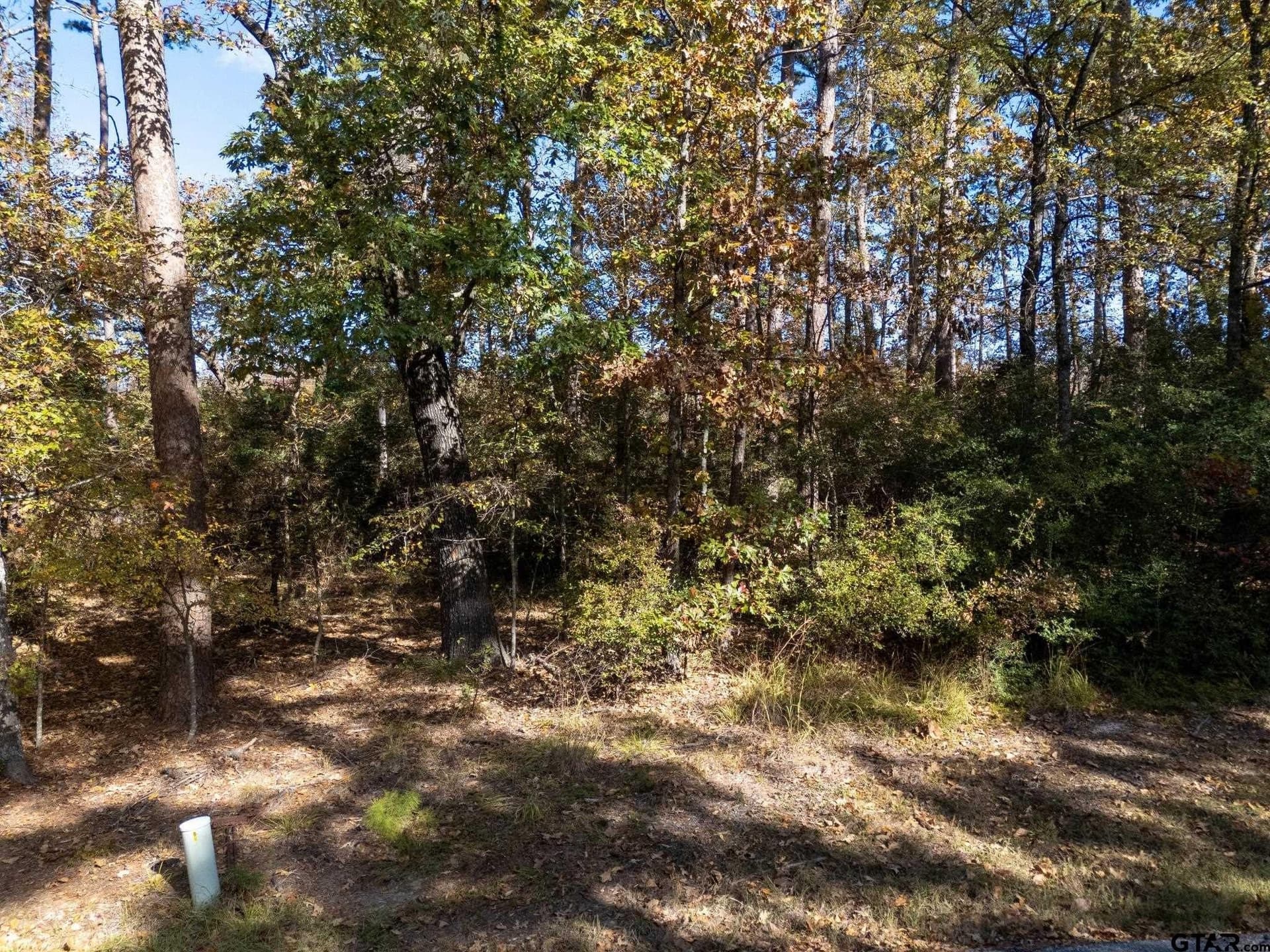 0.47 acres in Wood County gallery image 4