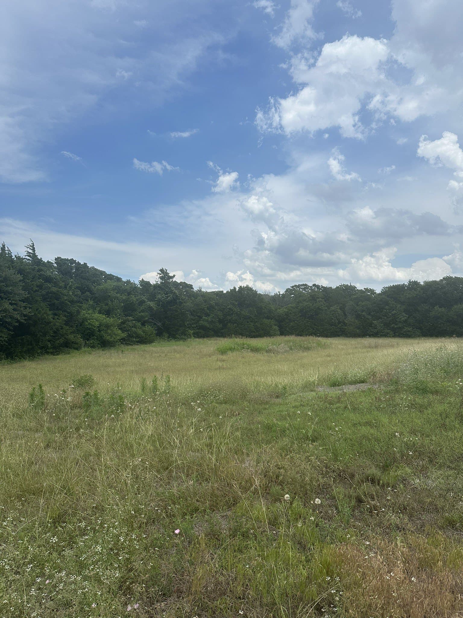 2.18 acres in Johnson County gallery image 3
