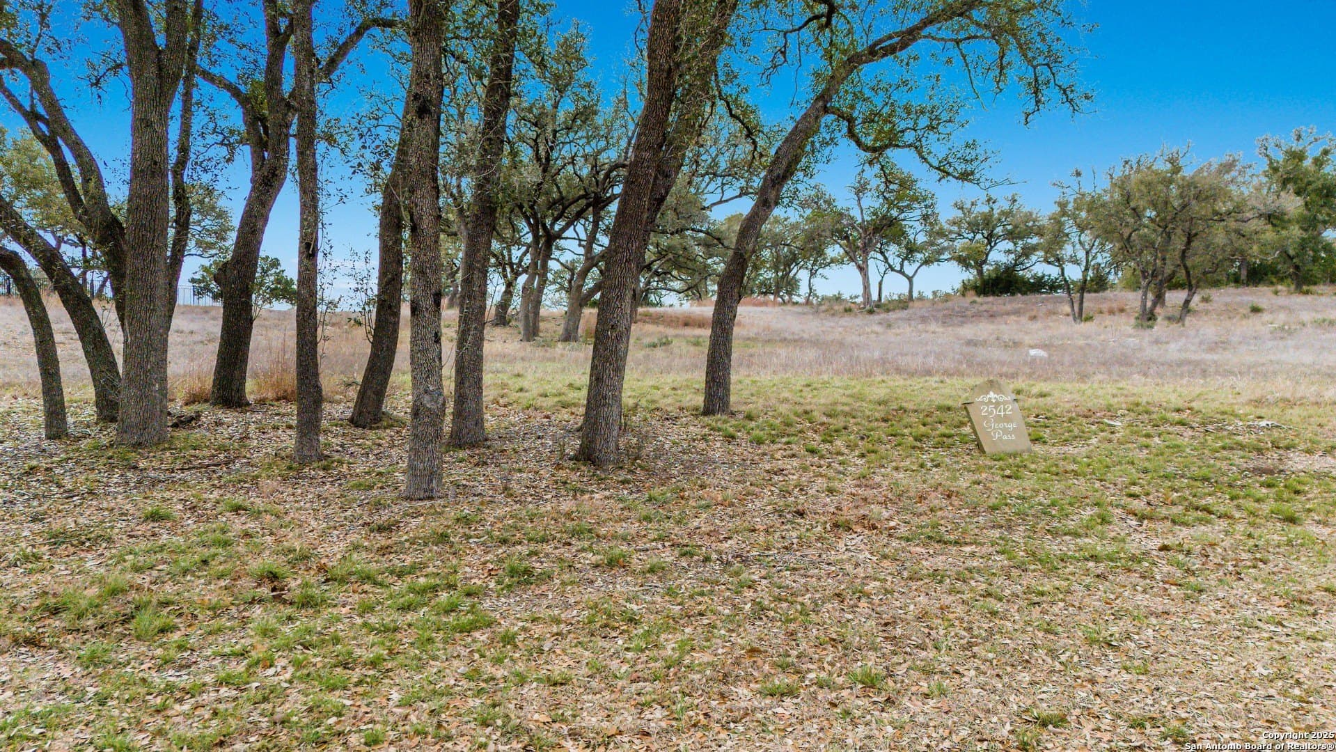 1.02 acres in Comal County gallery image 2