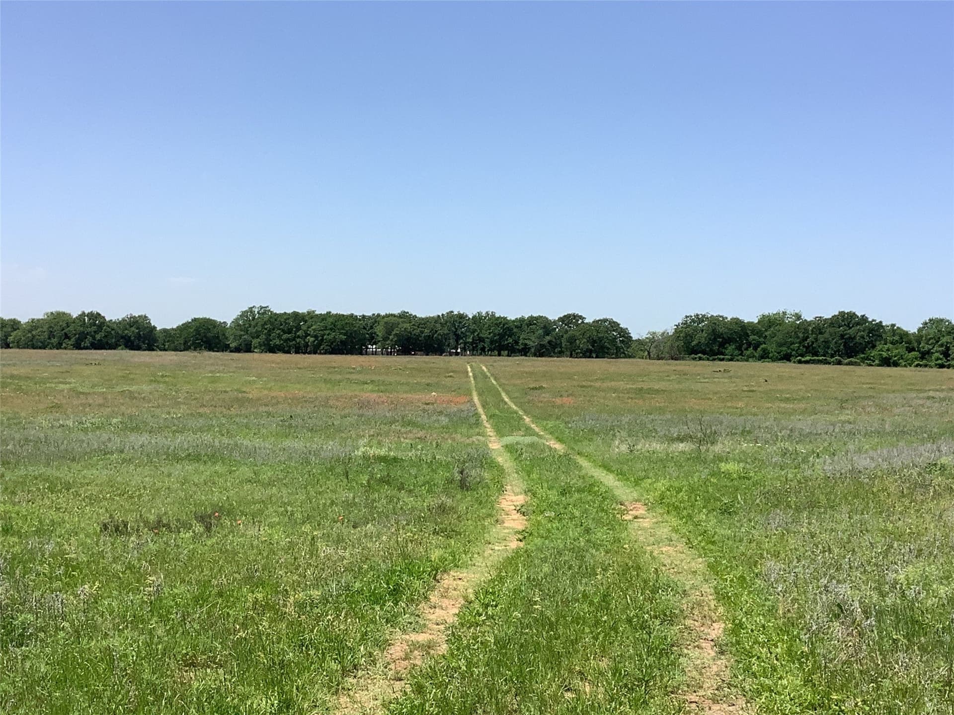 60 acres in Eastland County - photo 6