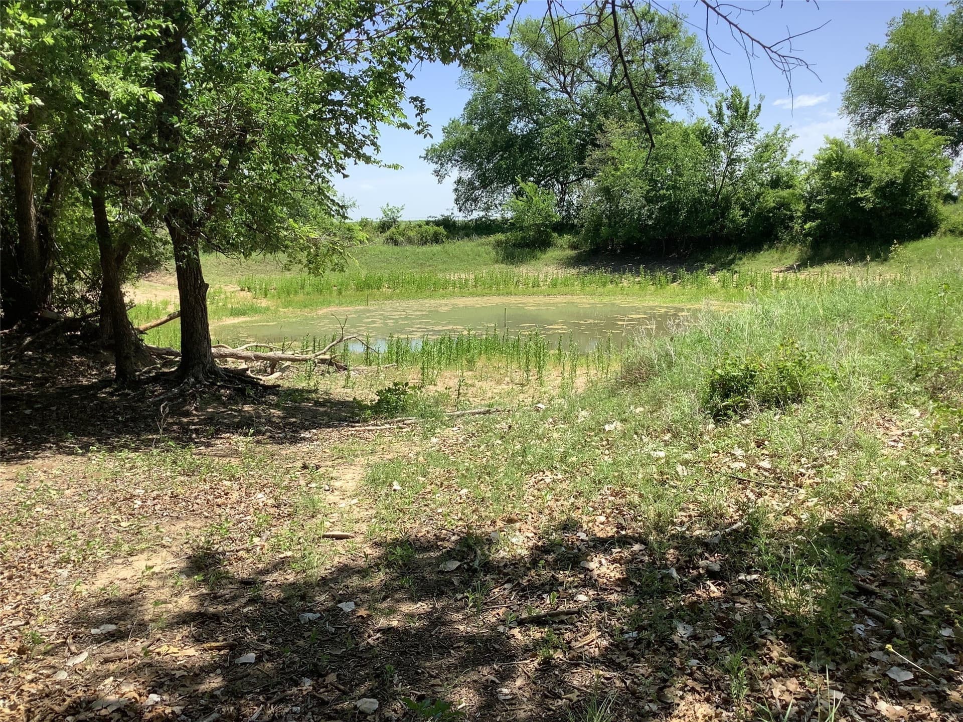 60 acres in Eastland County gallery image 3