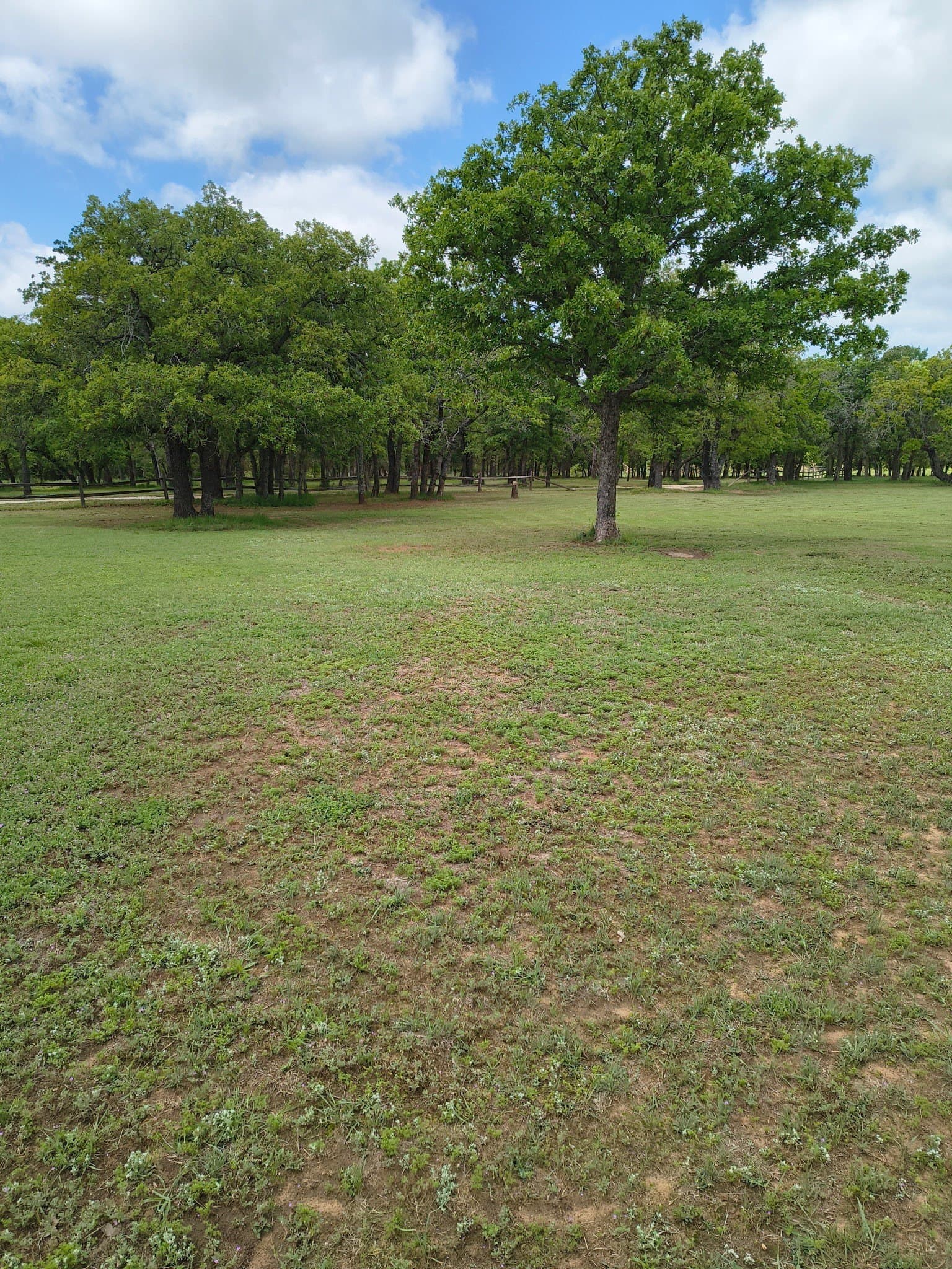 60 acres in Eastland County - photo 13