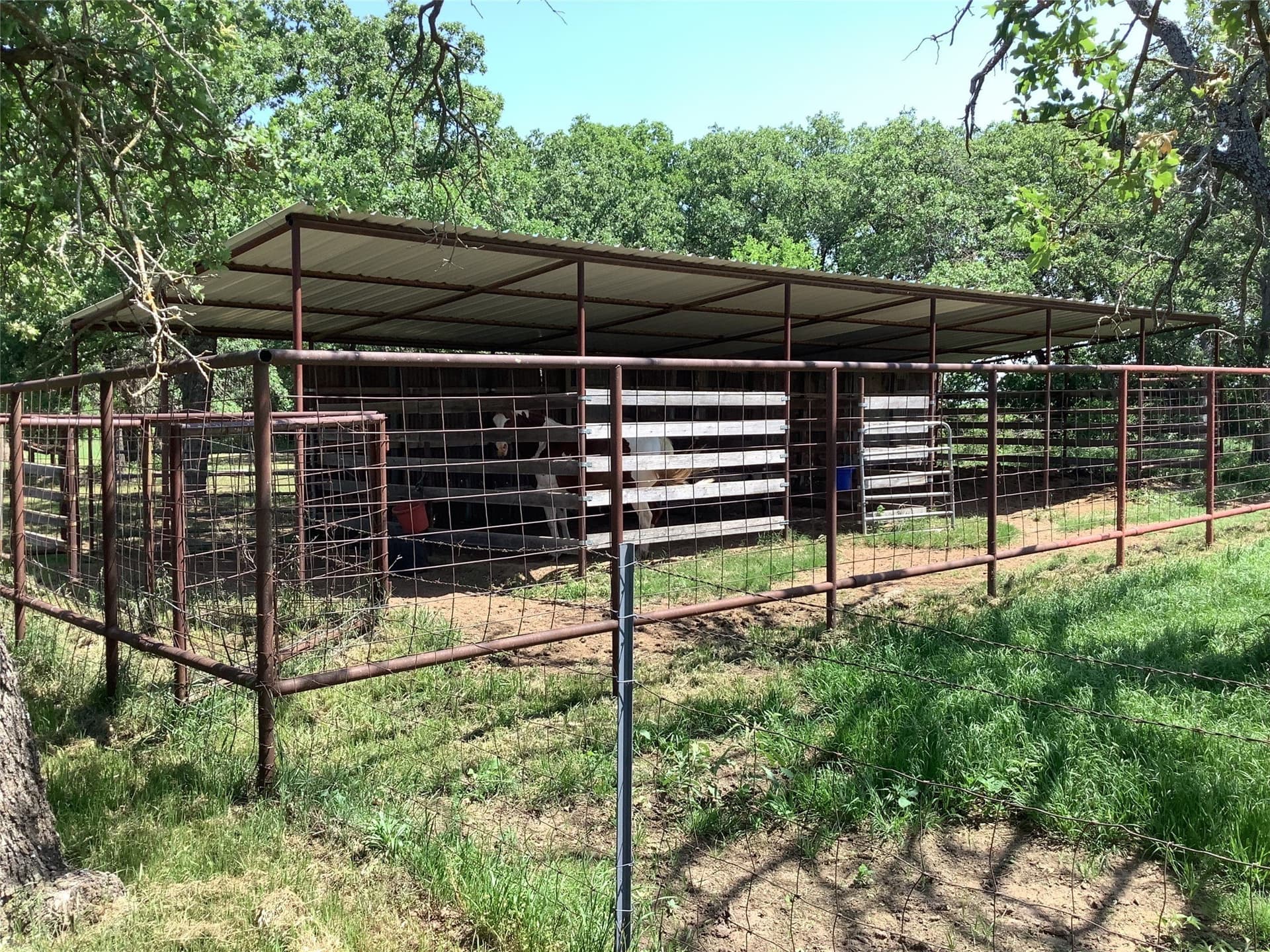 60 acres in Eastland County - photo 12