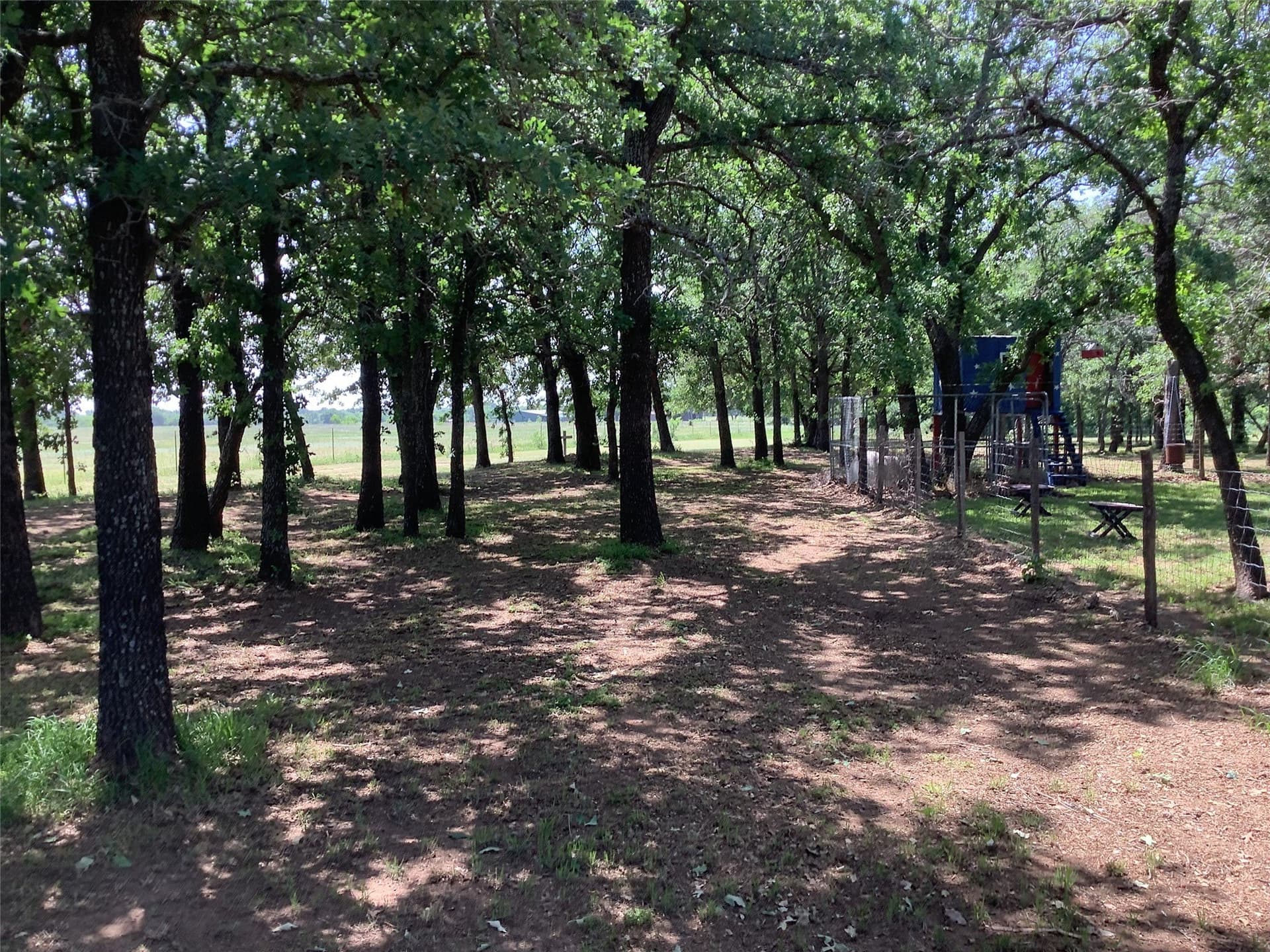 60 acres in Eastland County - photo 11