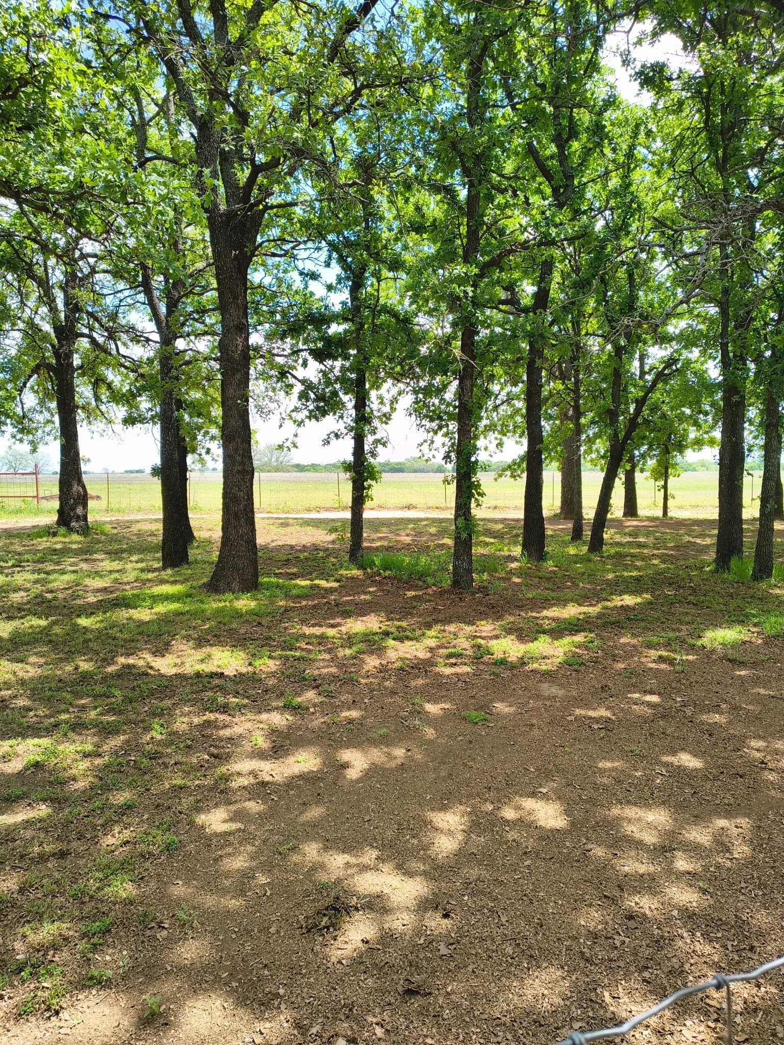 60 acres in Eastland County - photo 14