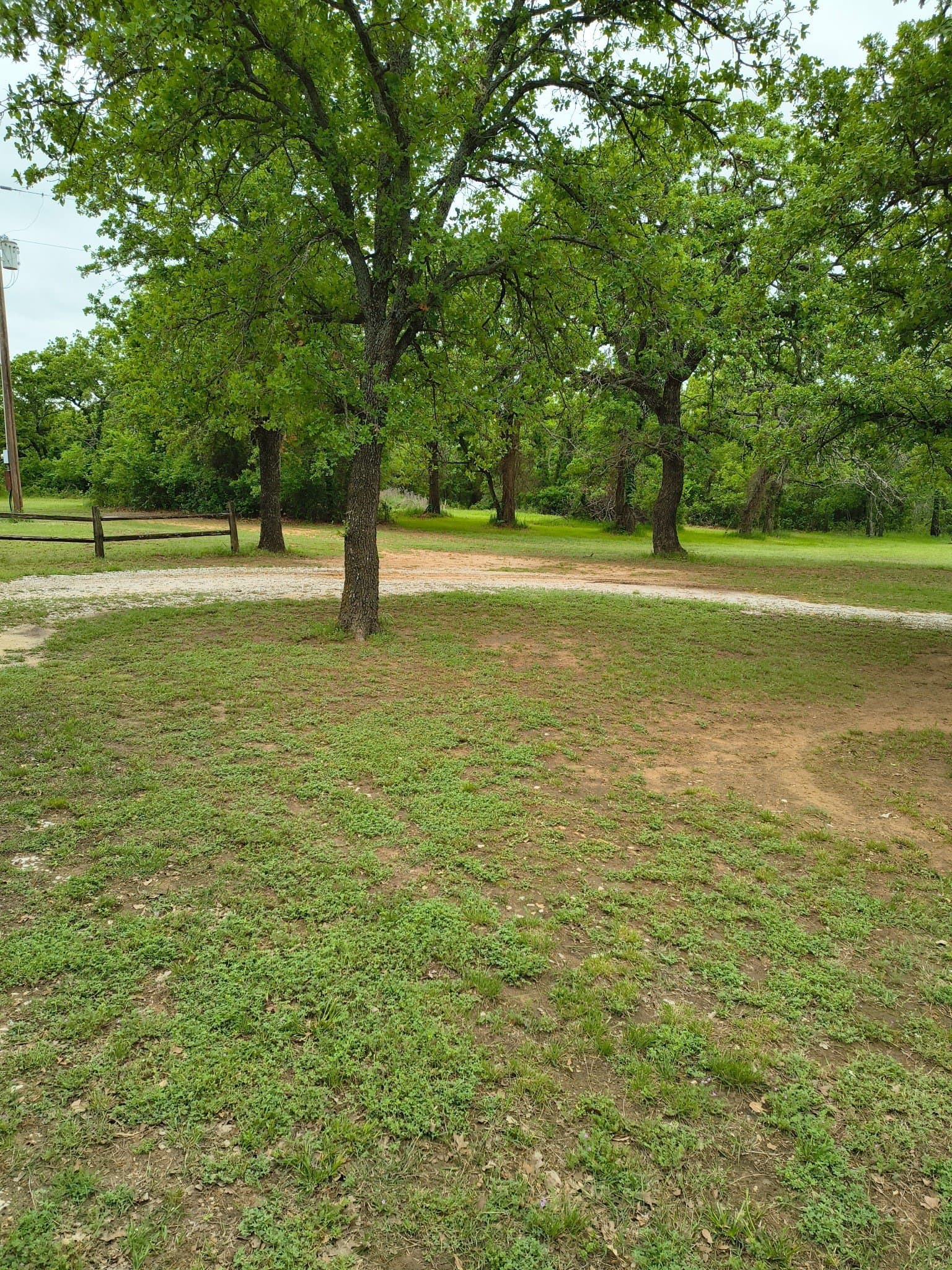 60 acres in Eastland County gallery image 2