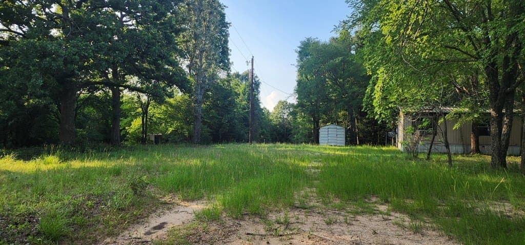 10 acres in Henderson County gallery image 3