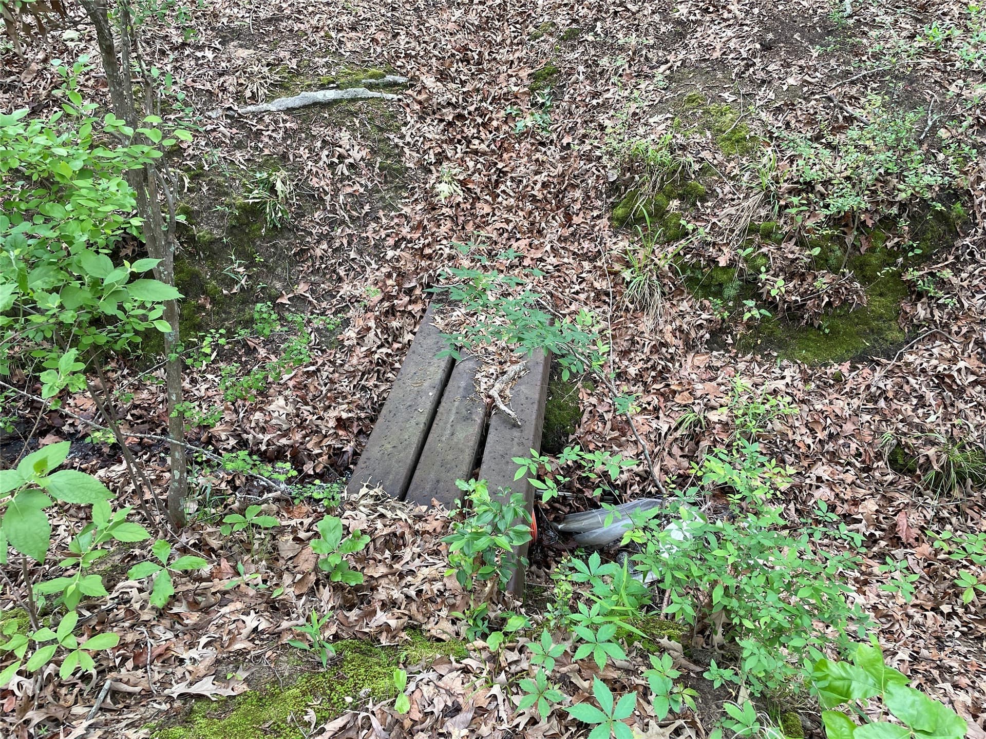 12.05 acres in Henderson County - photo 12