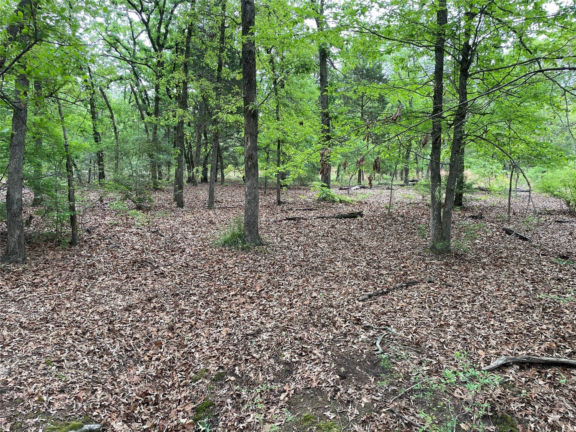 12.05 acres in Henderson County - photo 13