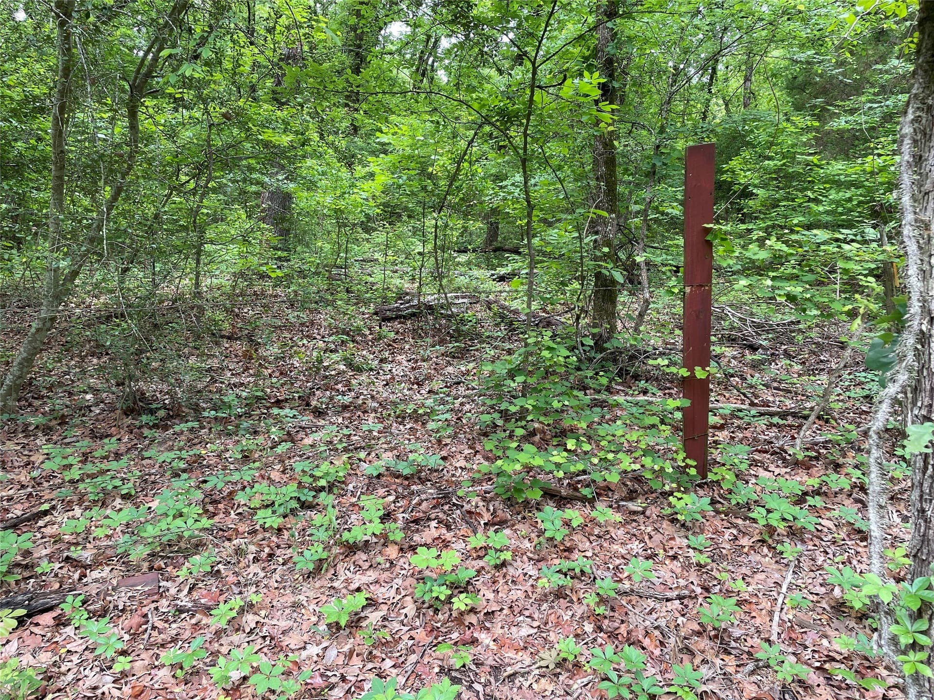 12.05 acres in Henderson County - photo 10
