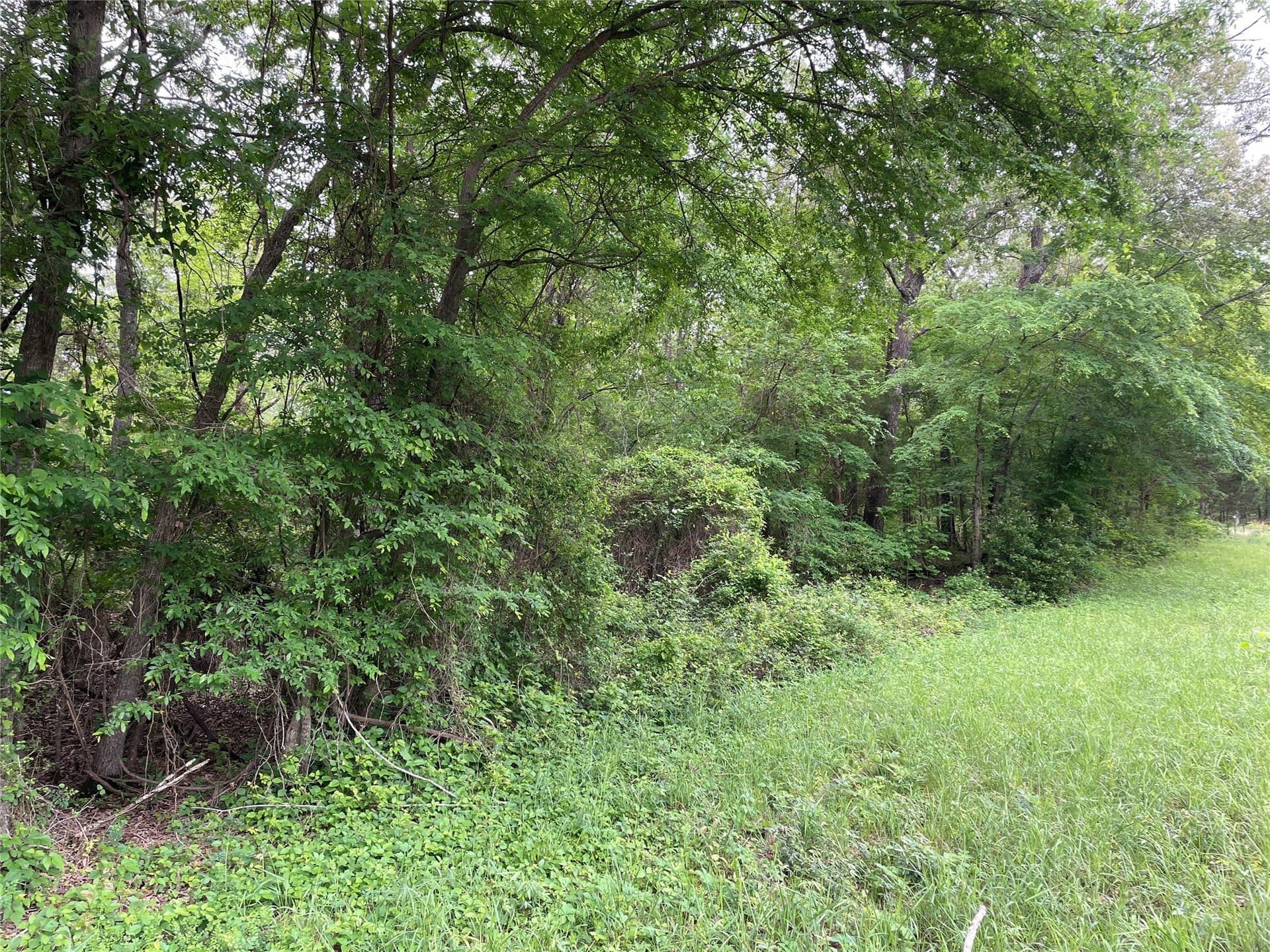 12.05 acres in Henderson County - photo 18