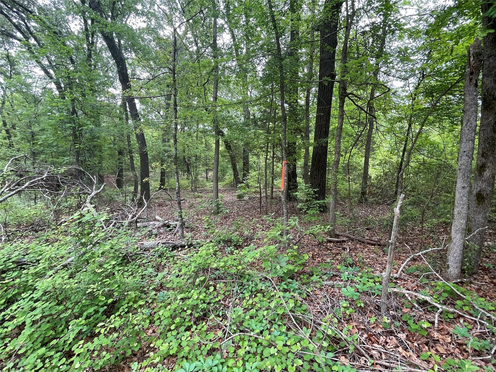 12.05 acres in Henderson County - photo 9