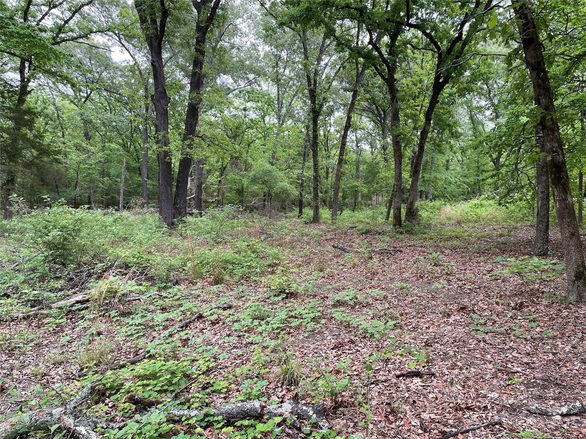 12.05 acres in Henderson County - photo 8