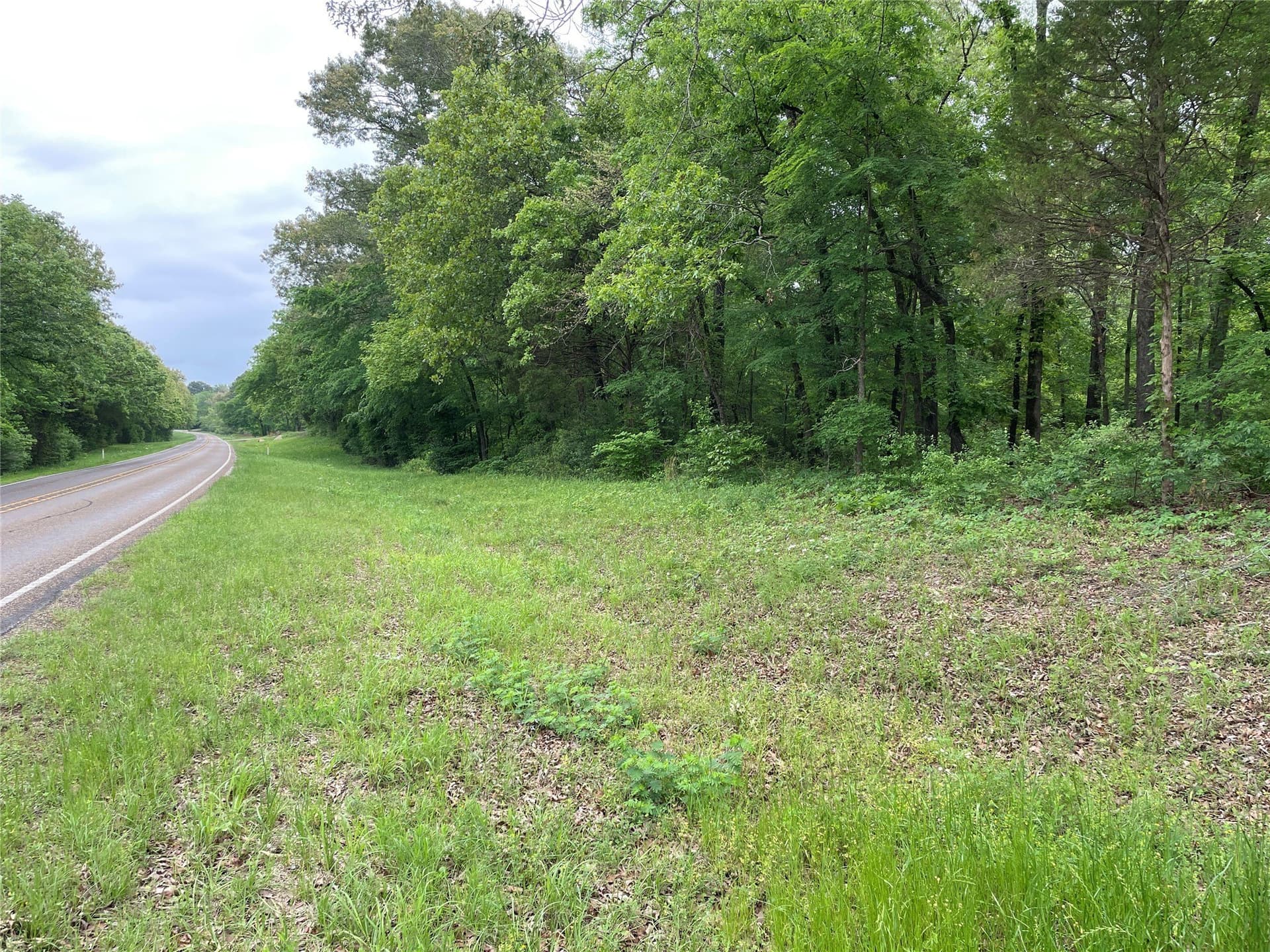 12.05 acres in Henderson County - photo 15