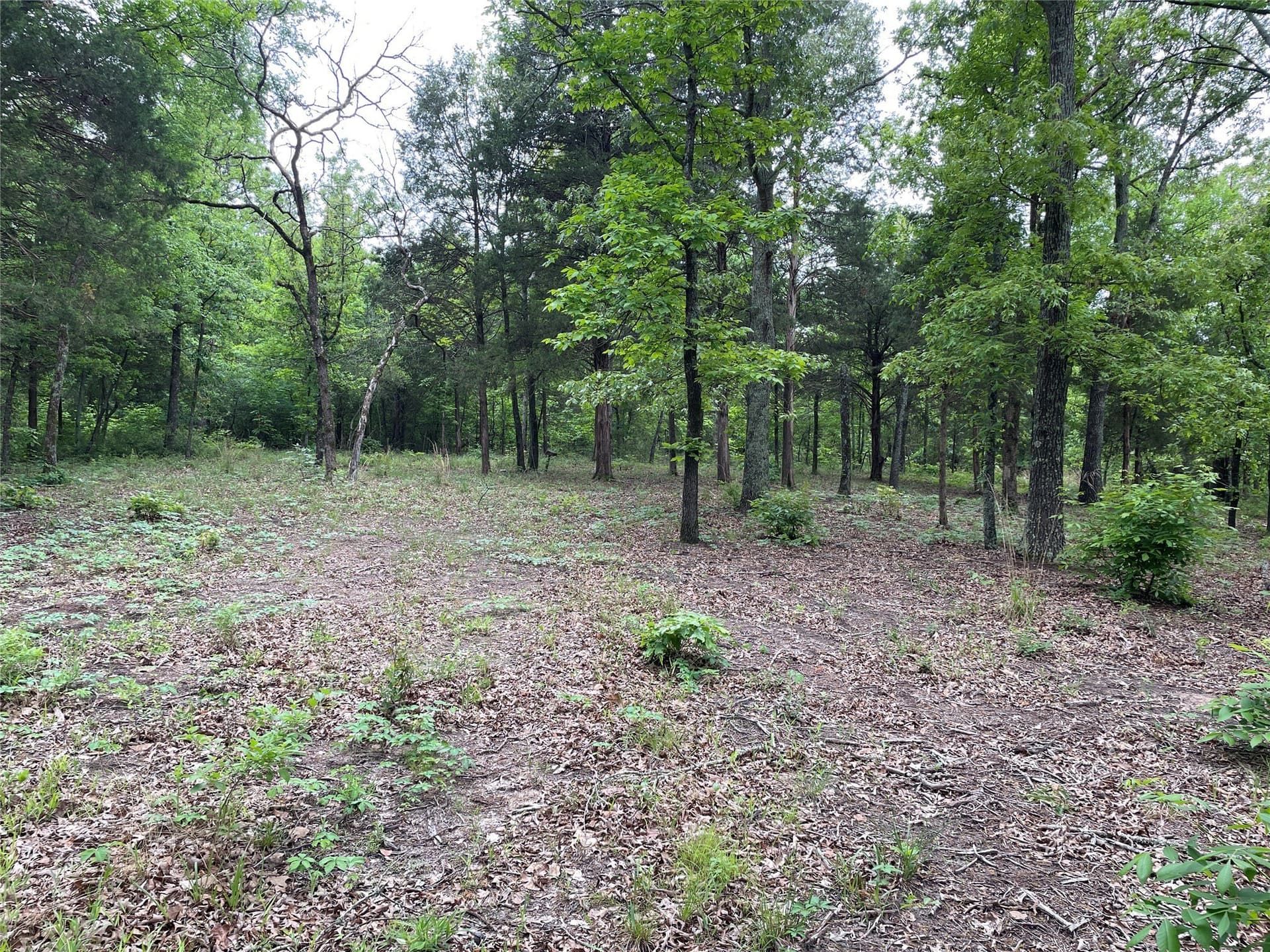 12.05 acres in Henderson County - photo 5
