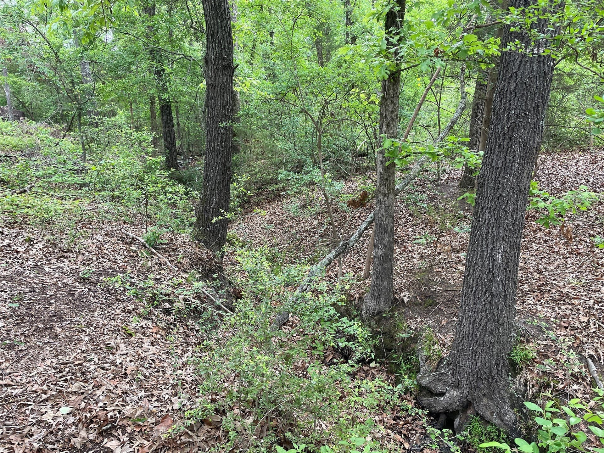 12.05 acres in Henderson County - photo 11
