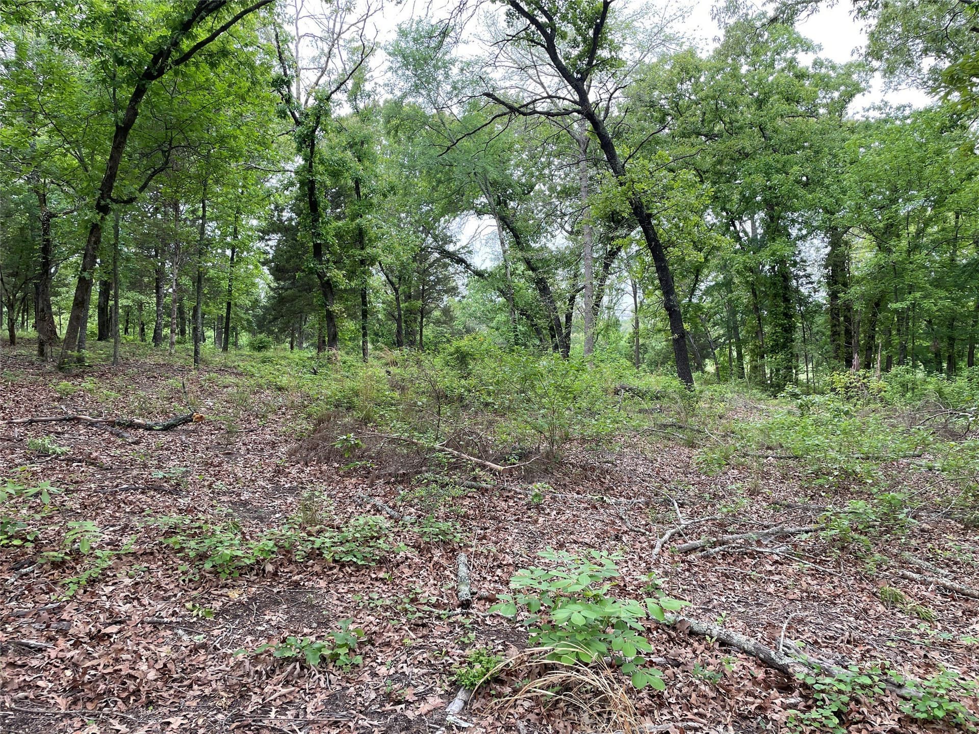 12.05 acres in Henderson County - photo 16