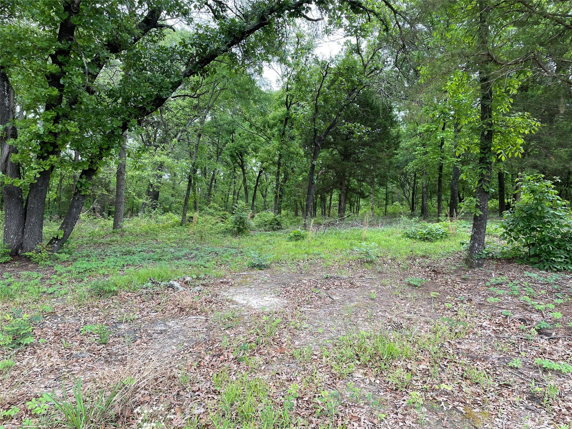 12.05 acres in Henderson County - photo 3