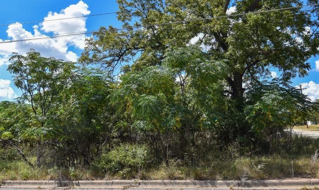 0.46 acres in McCulloch County gallery image 4